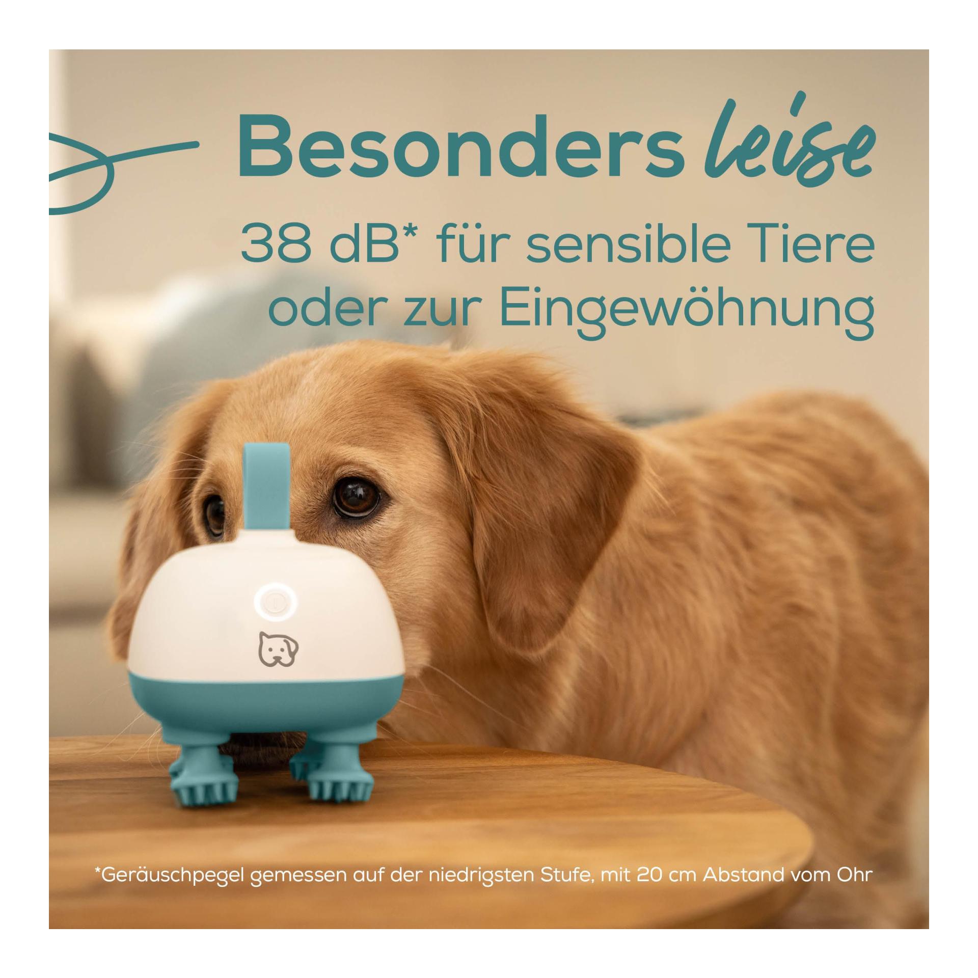 Buddy - Massagegerät