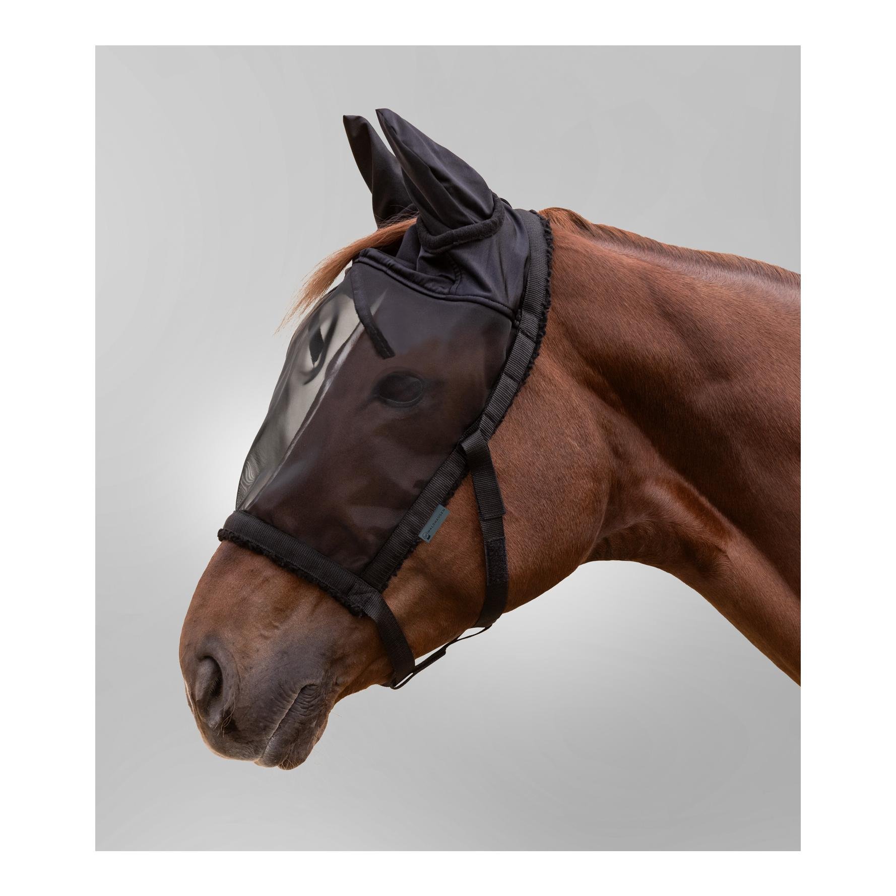 Weidehalfter mit Fliegenmaske