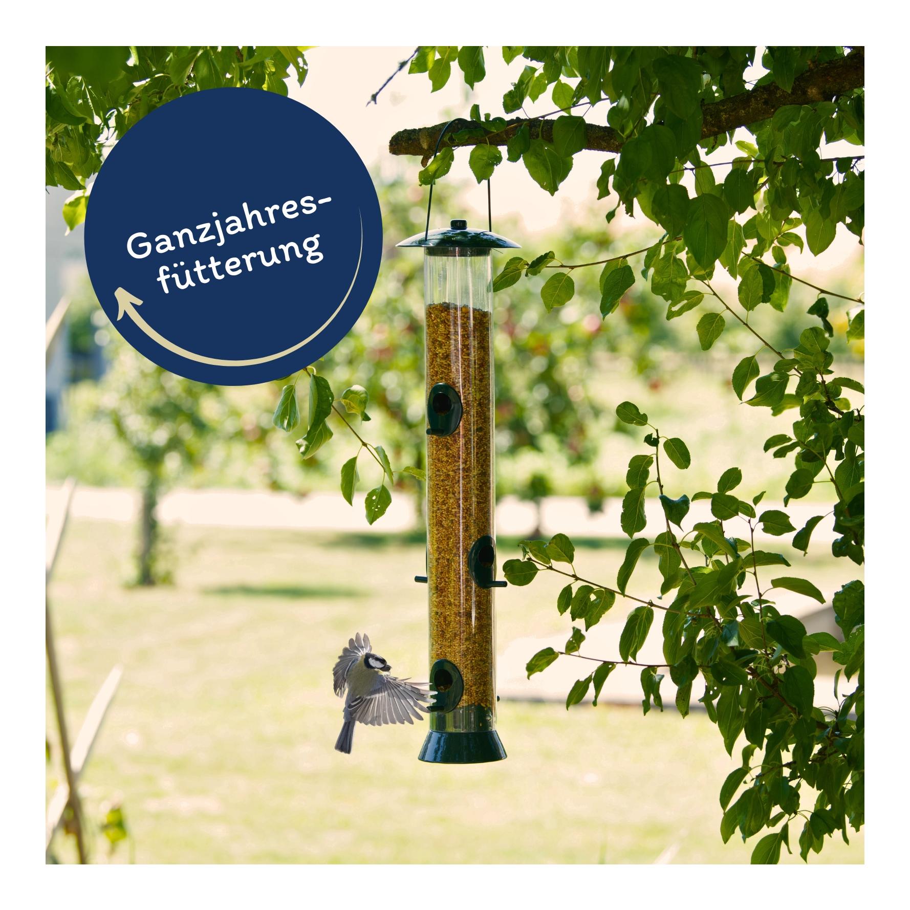 Streufutter schalenfrei