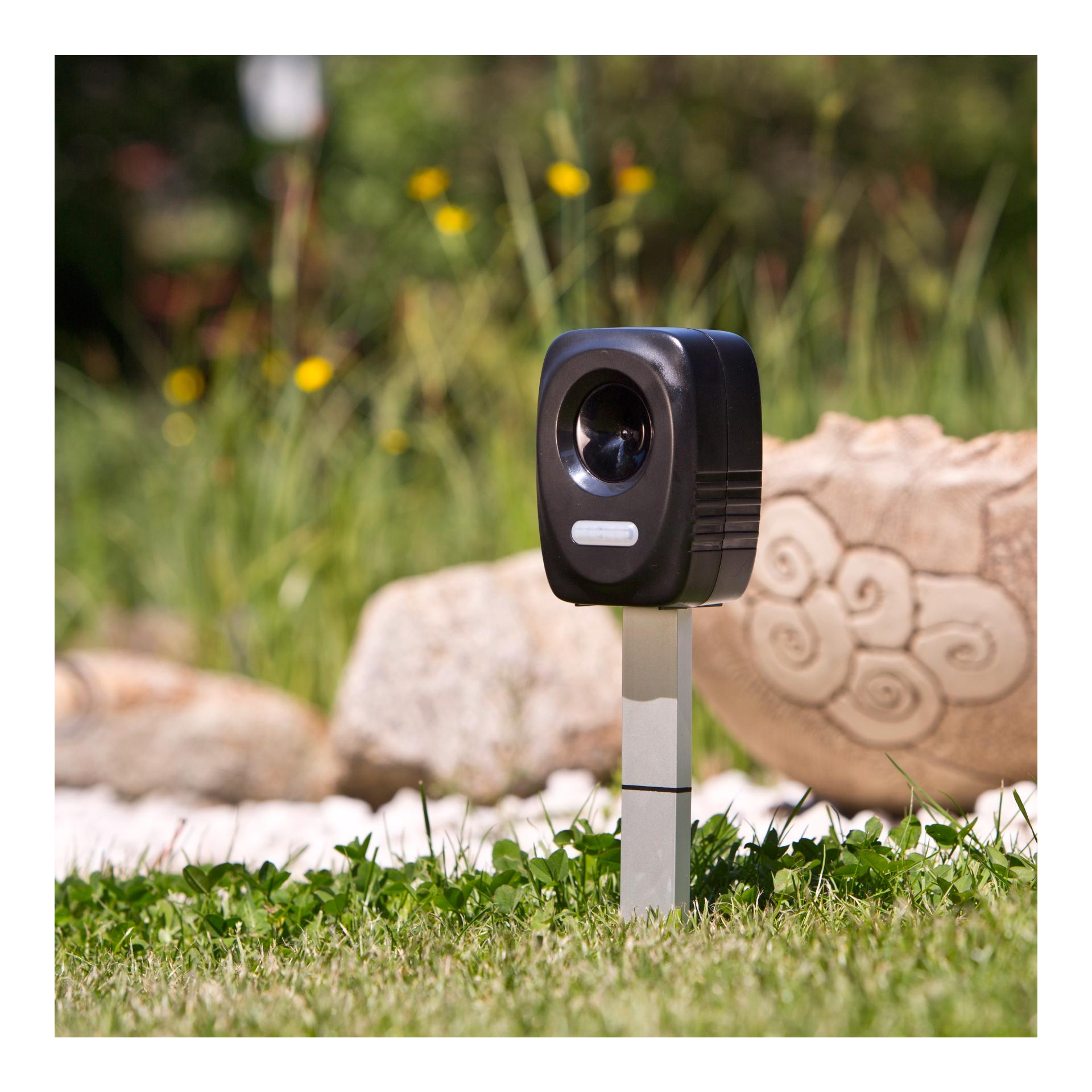 Windhager Appareil « Ultrasonic » pour éloigner chiens, chats et martres