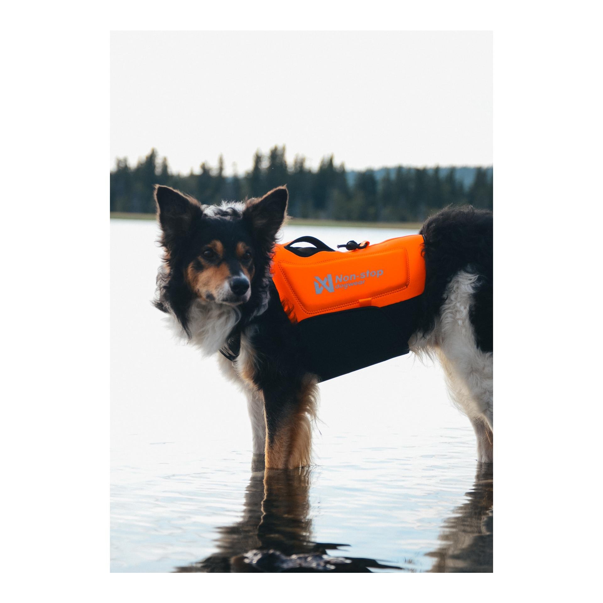 Non-stop Dogwear Protector neoprene vest