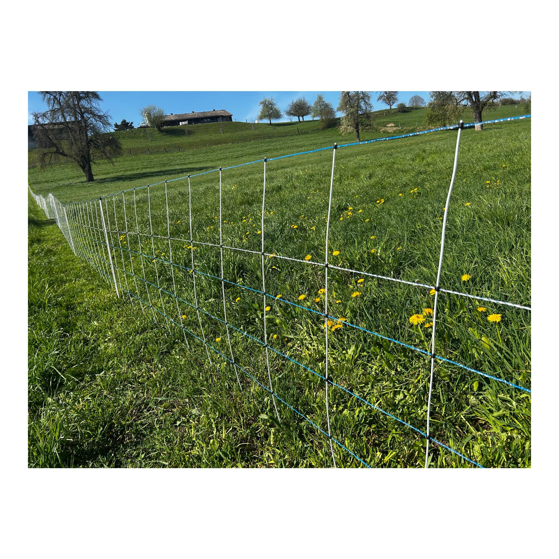 Hauptner Weidenetz Primaflex Alpin - Einzelspitz