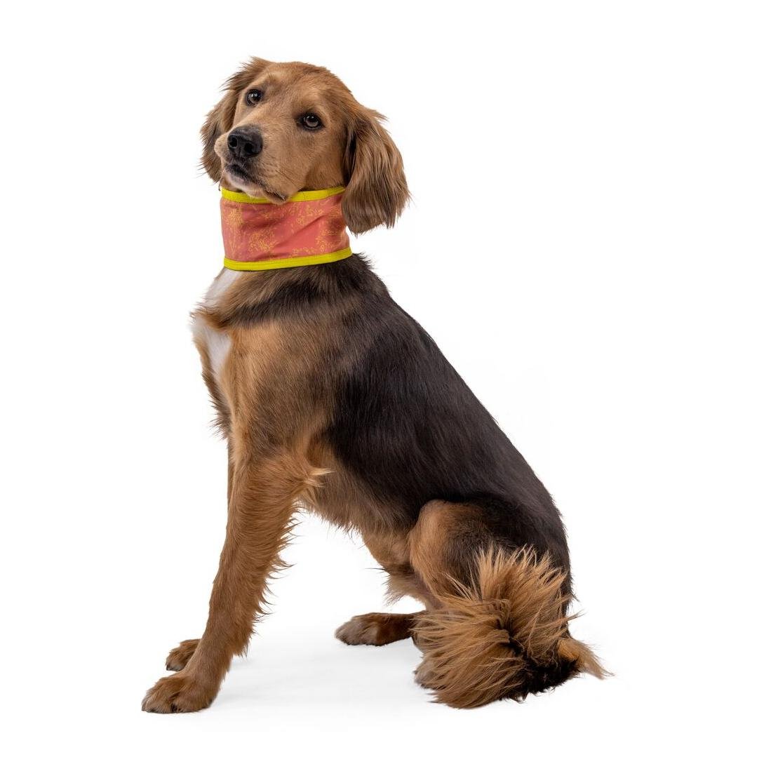 Swamp Cooler™ Halstuch