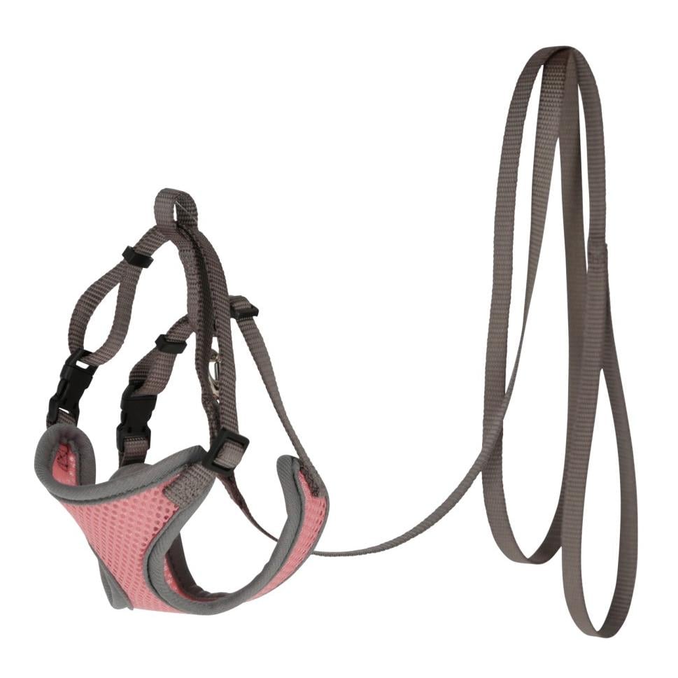 Katzengeschirr mit Leine