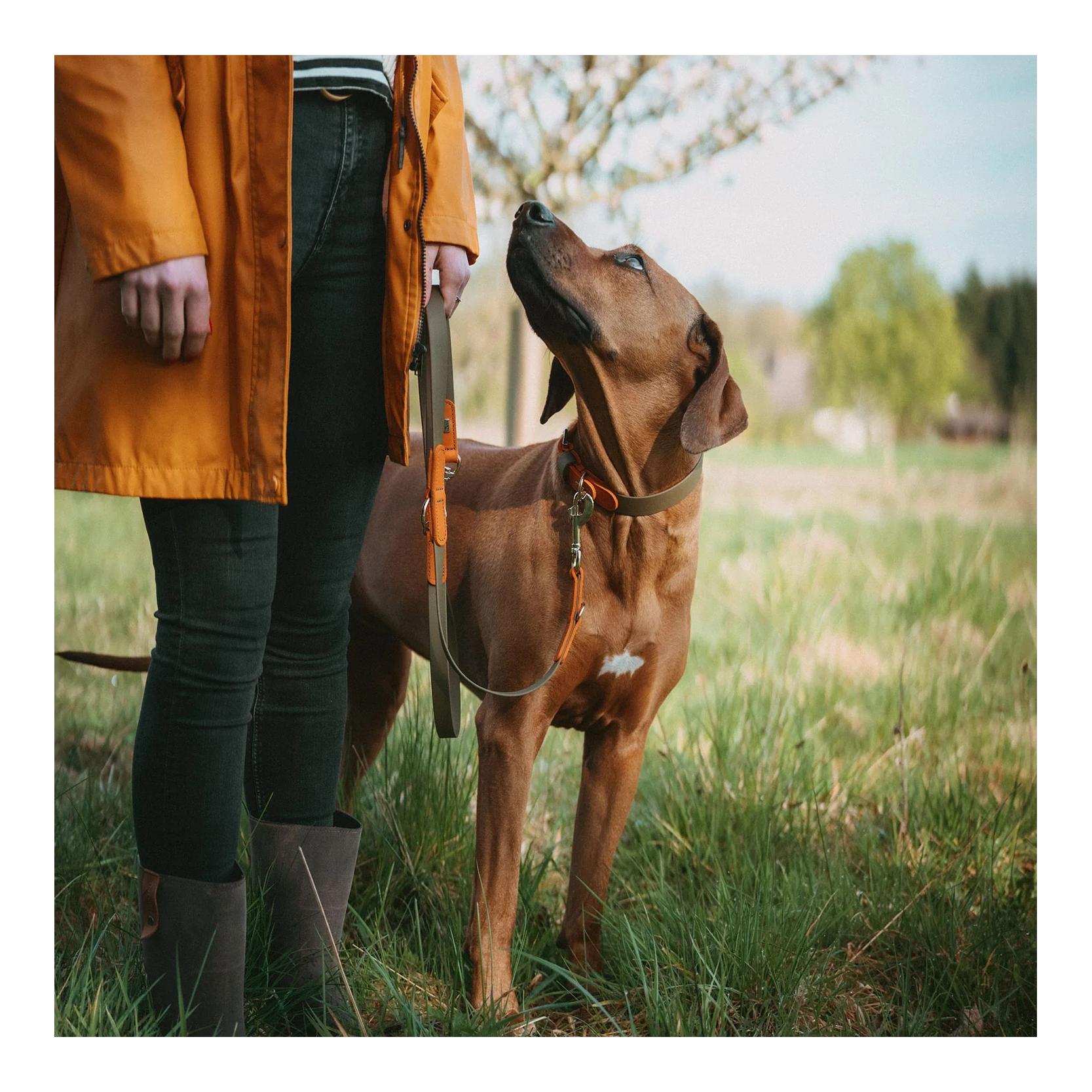Verstellbare Führleine Wolmar BioThane® x Leder