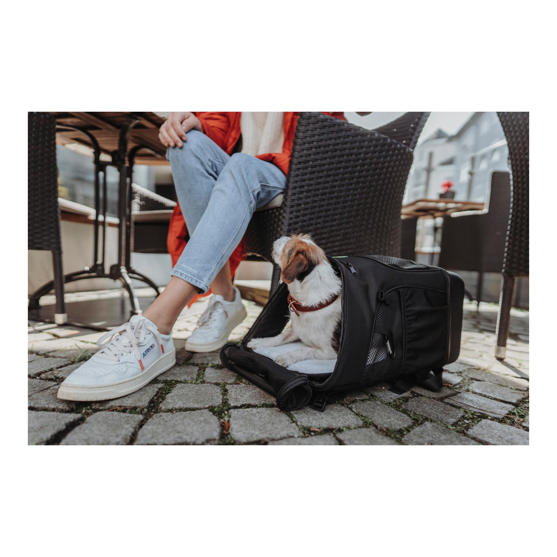 Flugtasche / Rucksack Miles