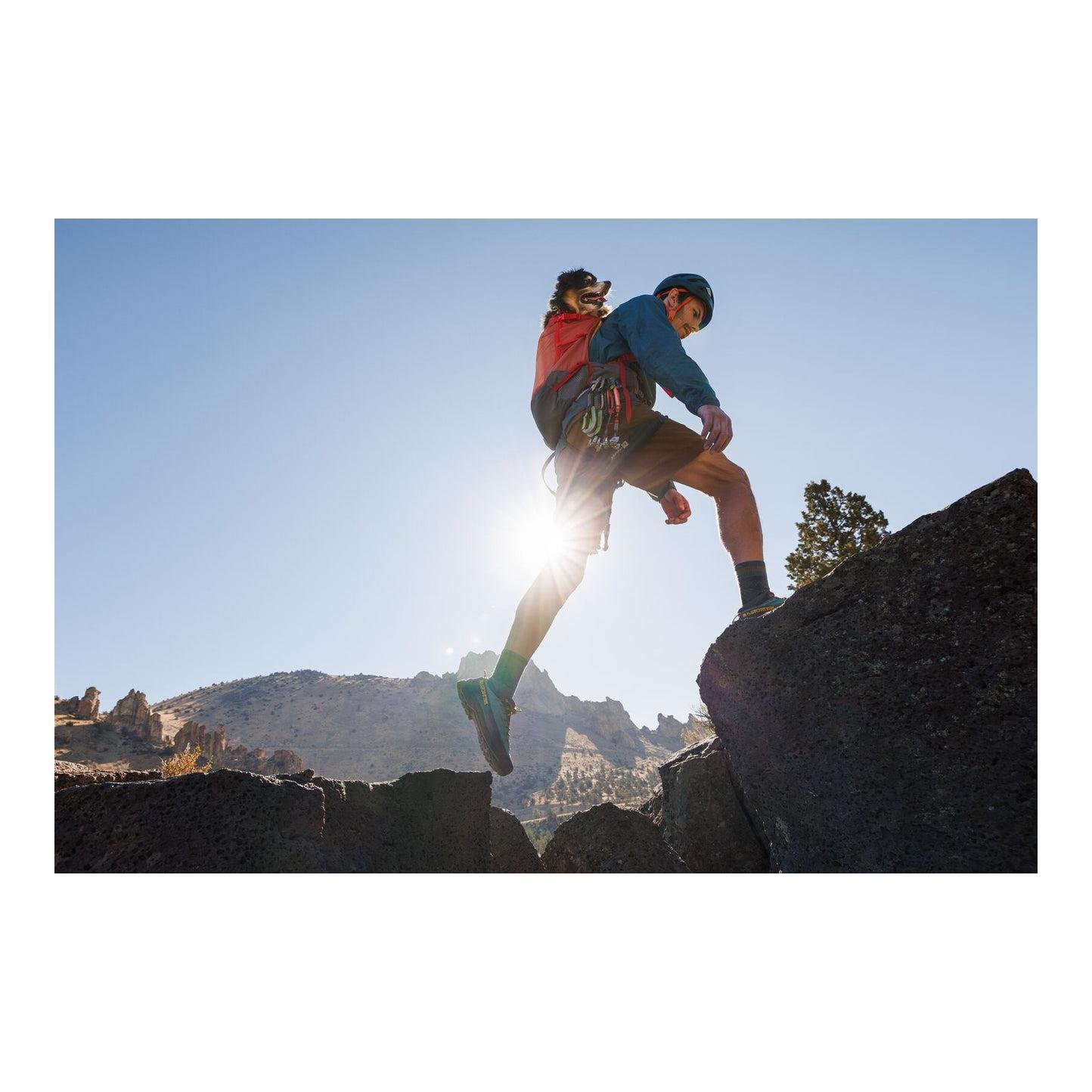 Hundetragetasche Hitch Hiker