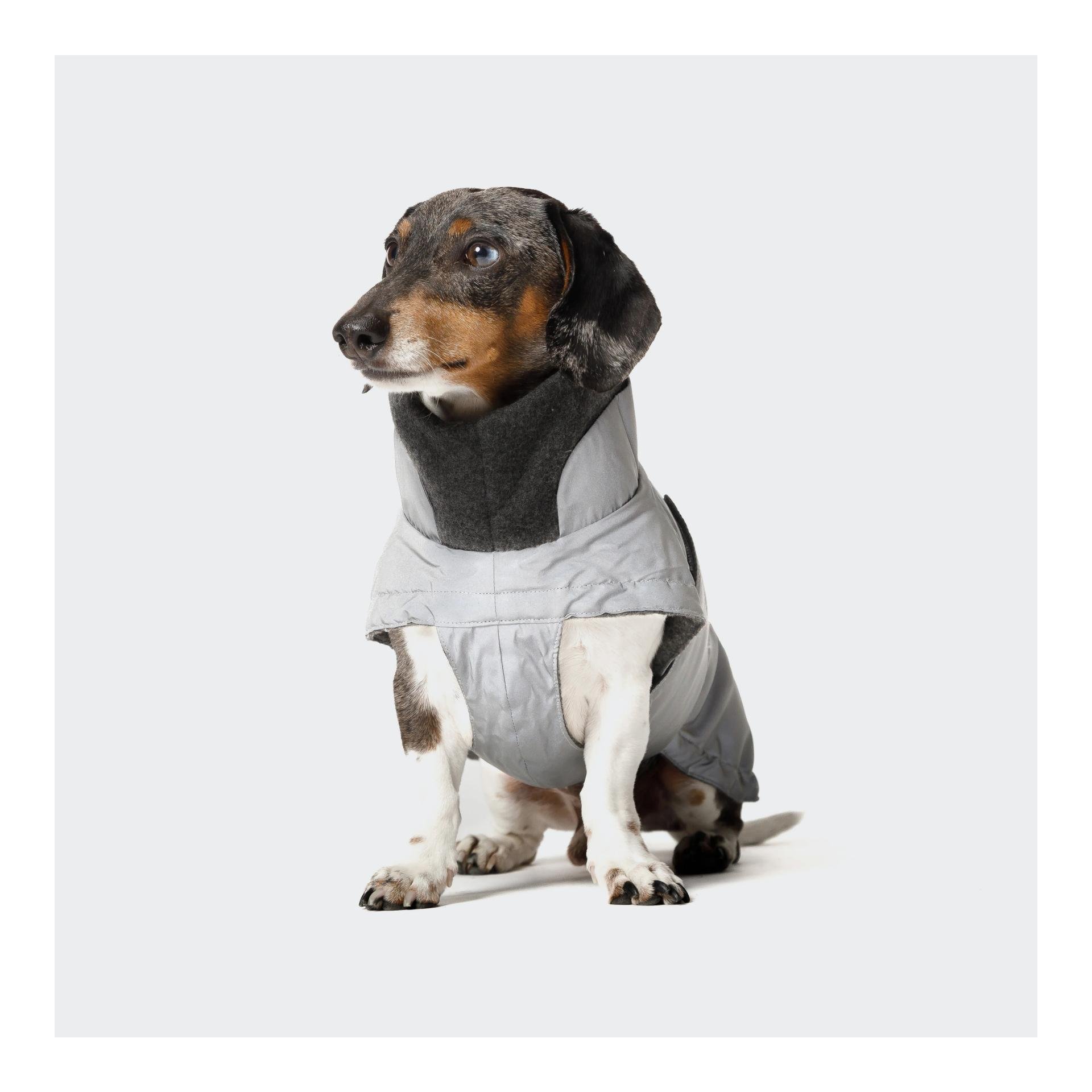 Winter Hundemantel Brooklyn Dackel