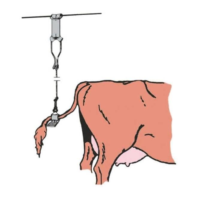 Allgäuer Kuhschwanzhalter komplett