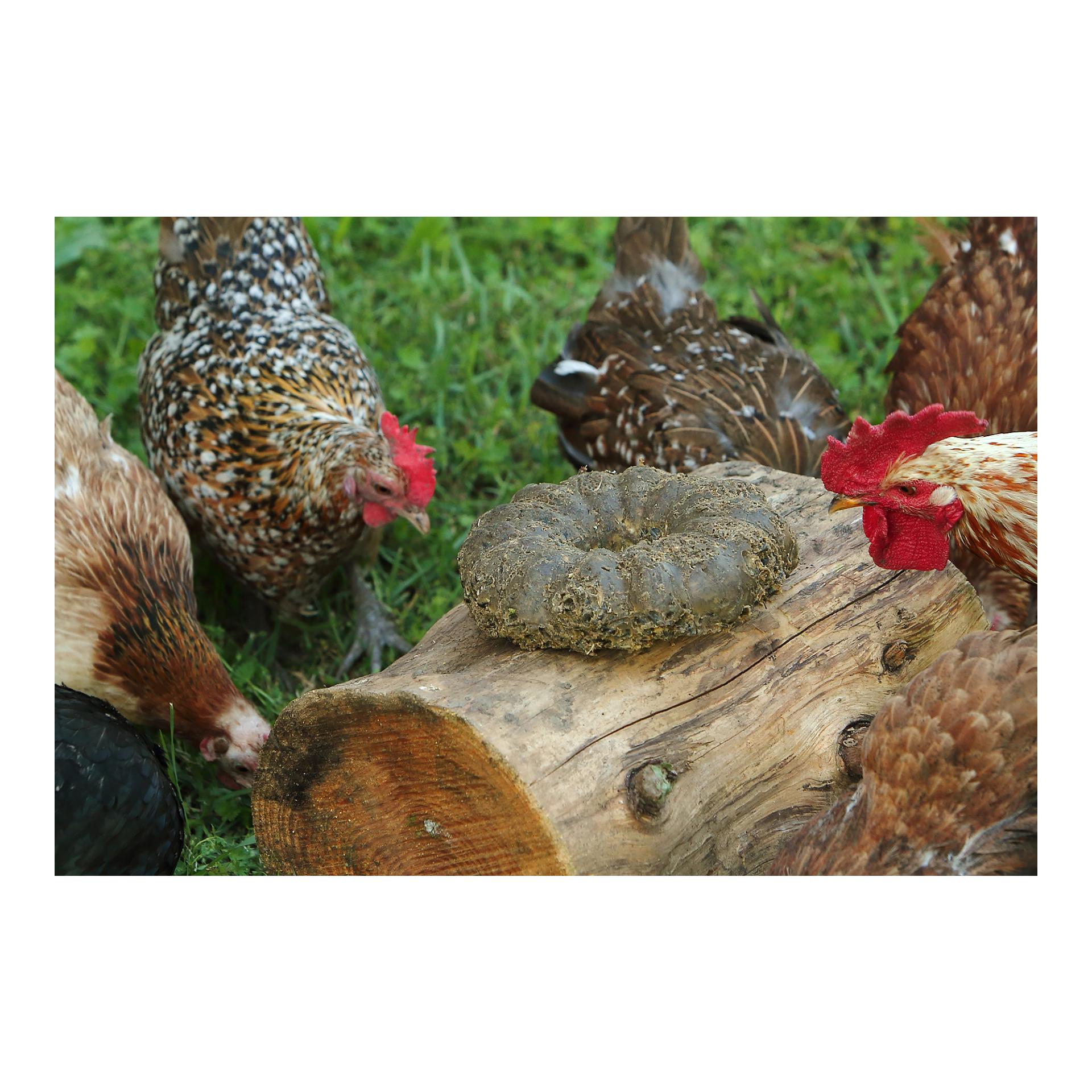 Hauptner Grosser Energie Gugelhupf