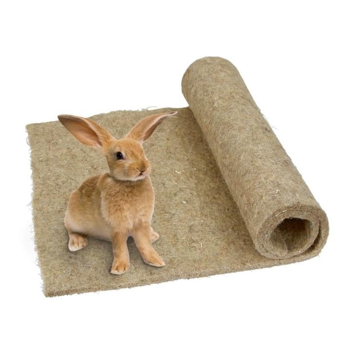 Bürsten, Besen & Co. - The golden Rabbit - beste Gartengeräte für  Gartenliebhaber