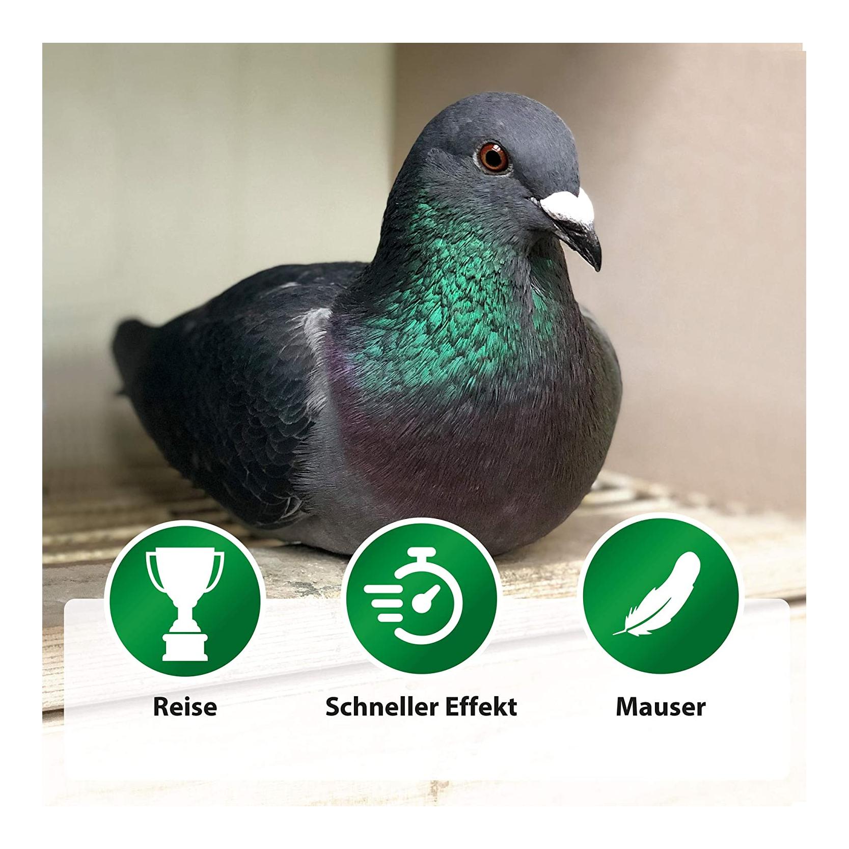 Bt-Amin Forte - höchstdosierte Aminosäuren und B-Vitamine