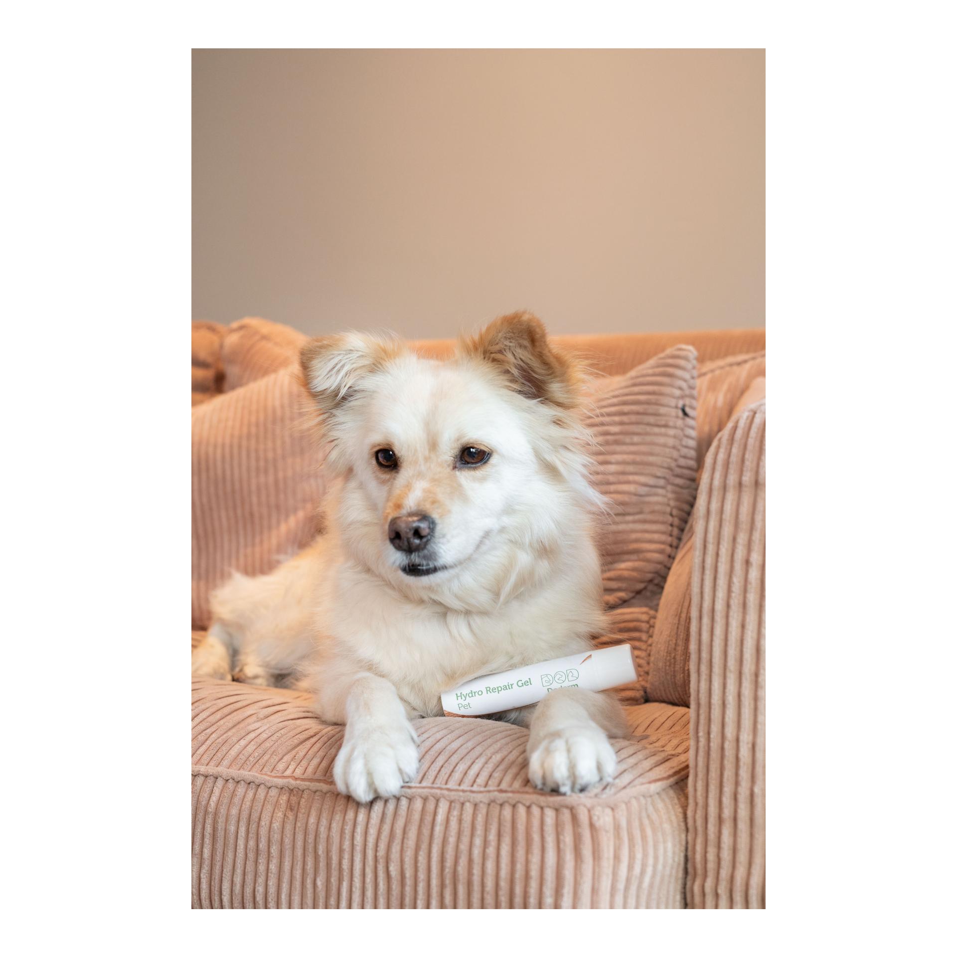 Hydro Repair Gel Pet