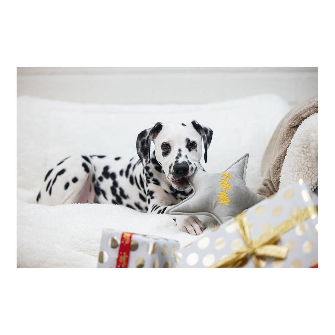 Hundespielzeug Weihnachtsstern Samt