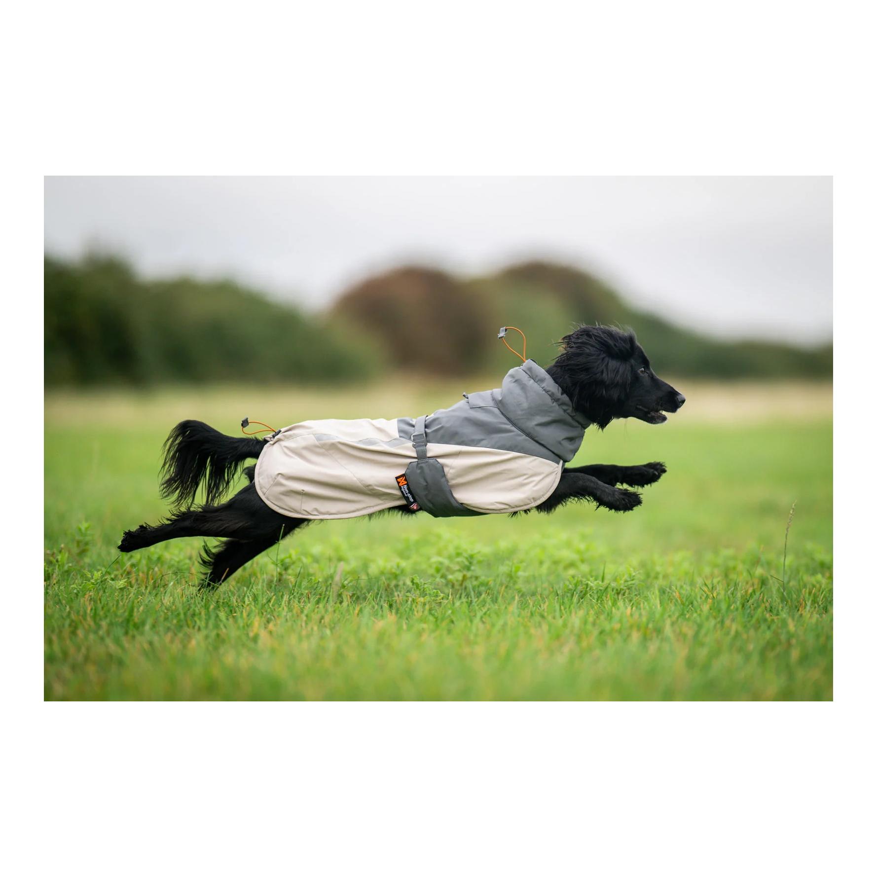 Hunde Winterjacke Glacier wool jacket 3.0