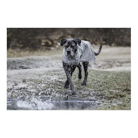 Hunde Regenjacke