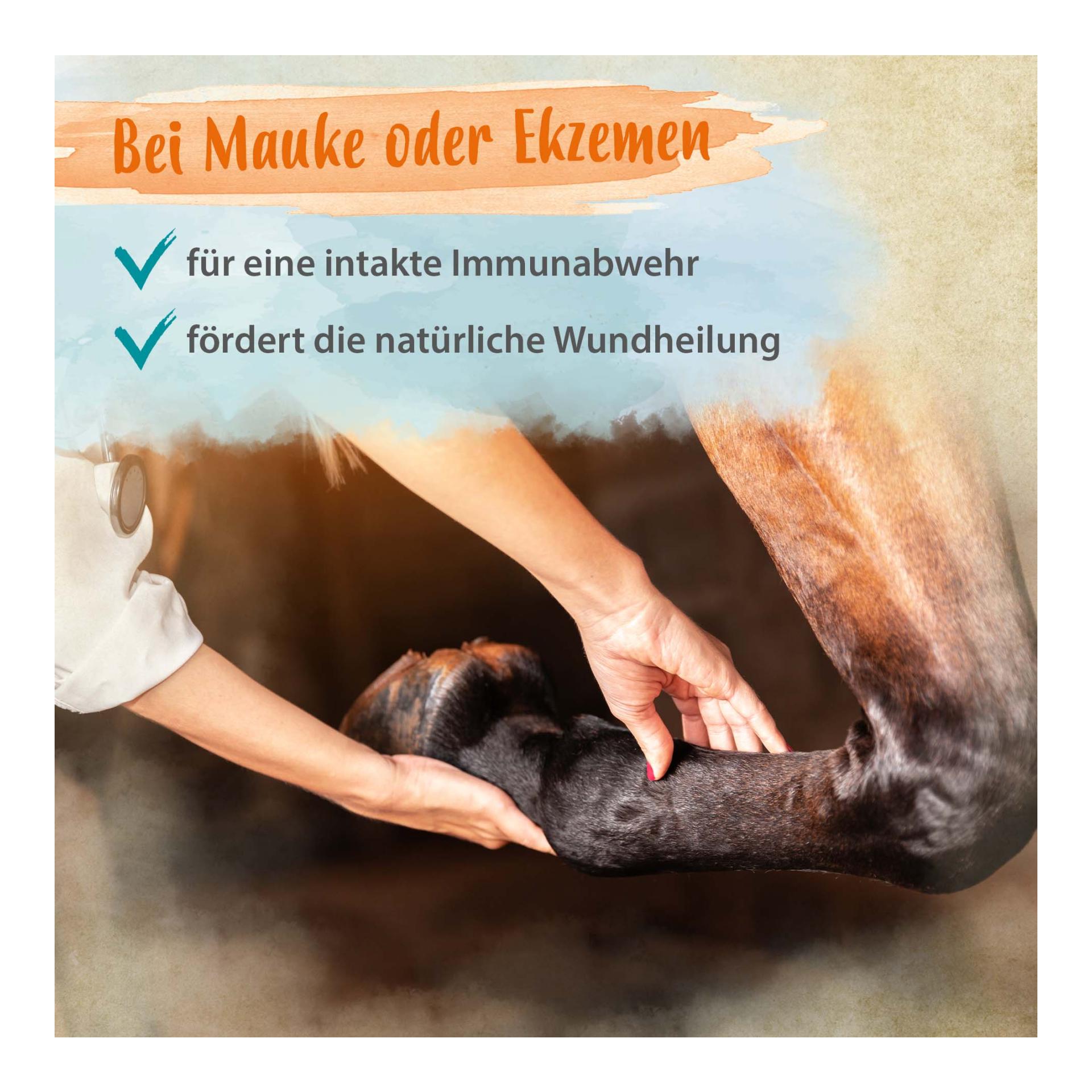 Biotin + Zink für Pferde - hochdosiert - verbessert Hufqualität & Hufwachstum 