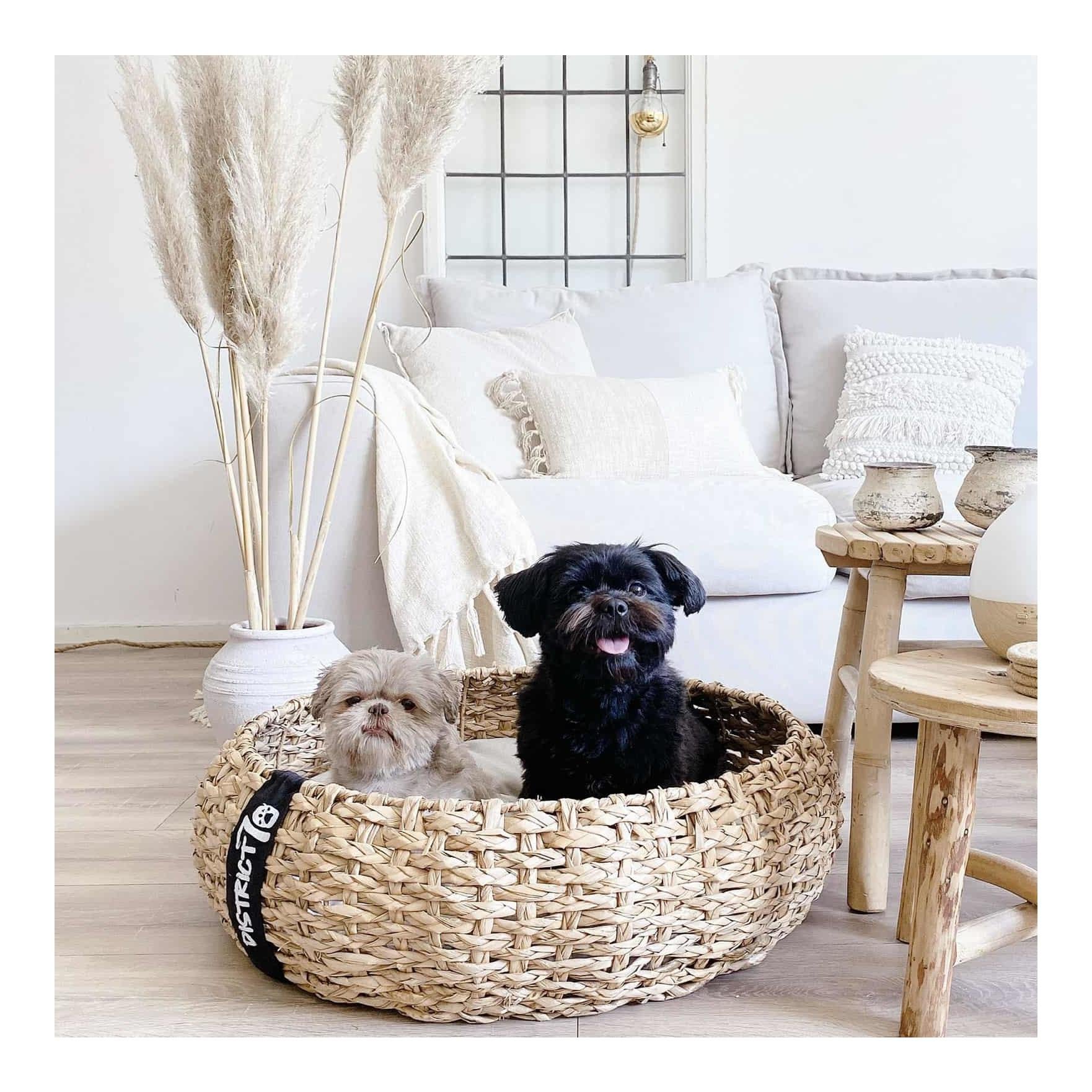 Hundebett Cocoon Natural