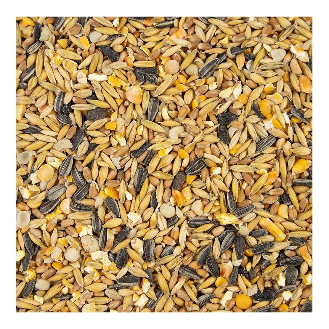 My Little Farm Bio Entenkorn