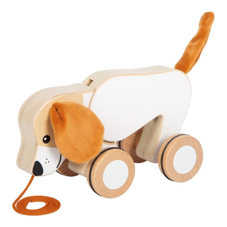 Nachziehtier Hund mit Knisterohren