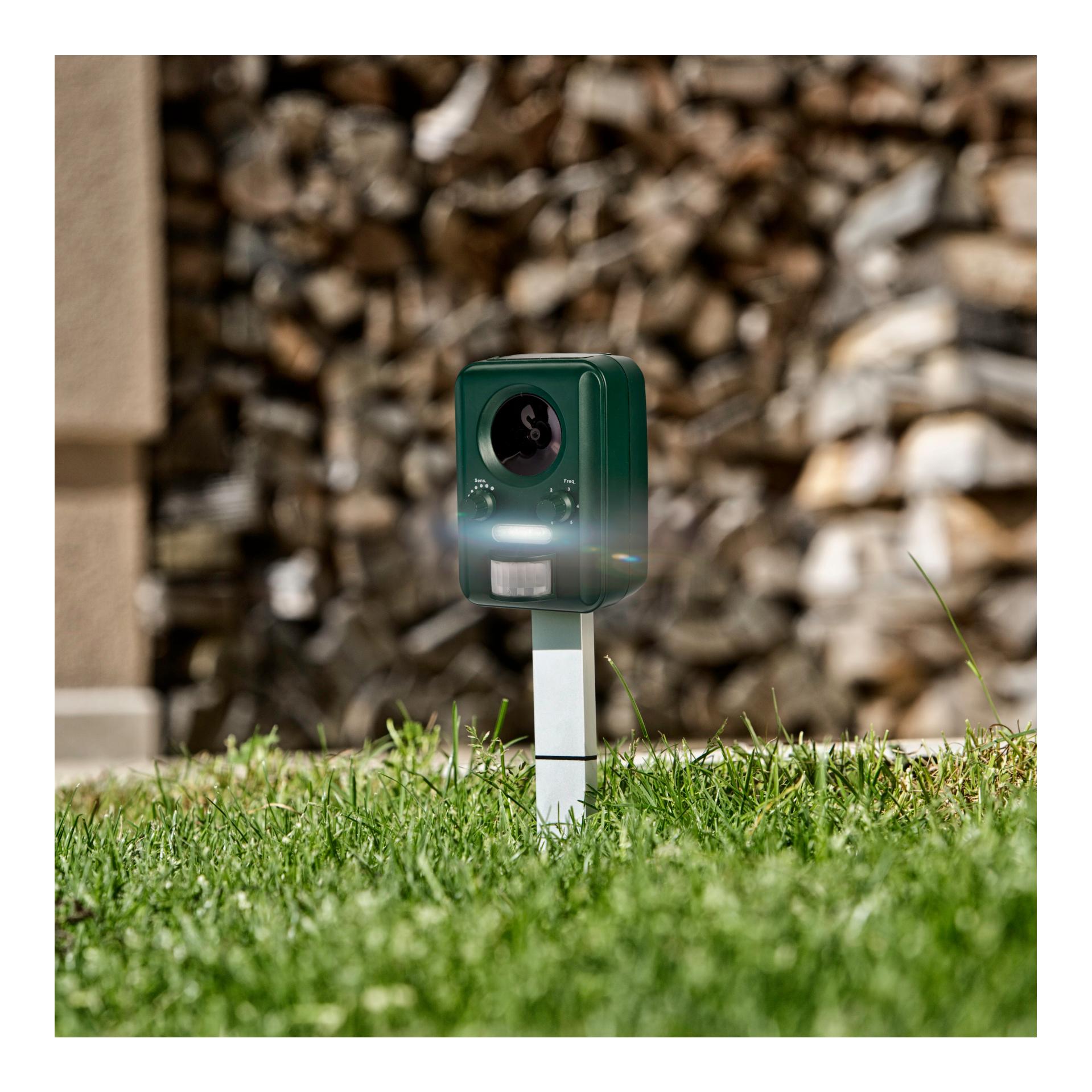 Windhager Chasse-animaux Guard Solar