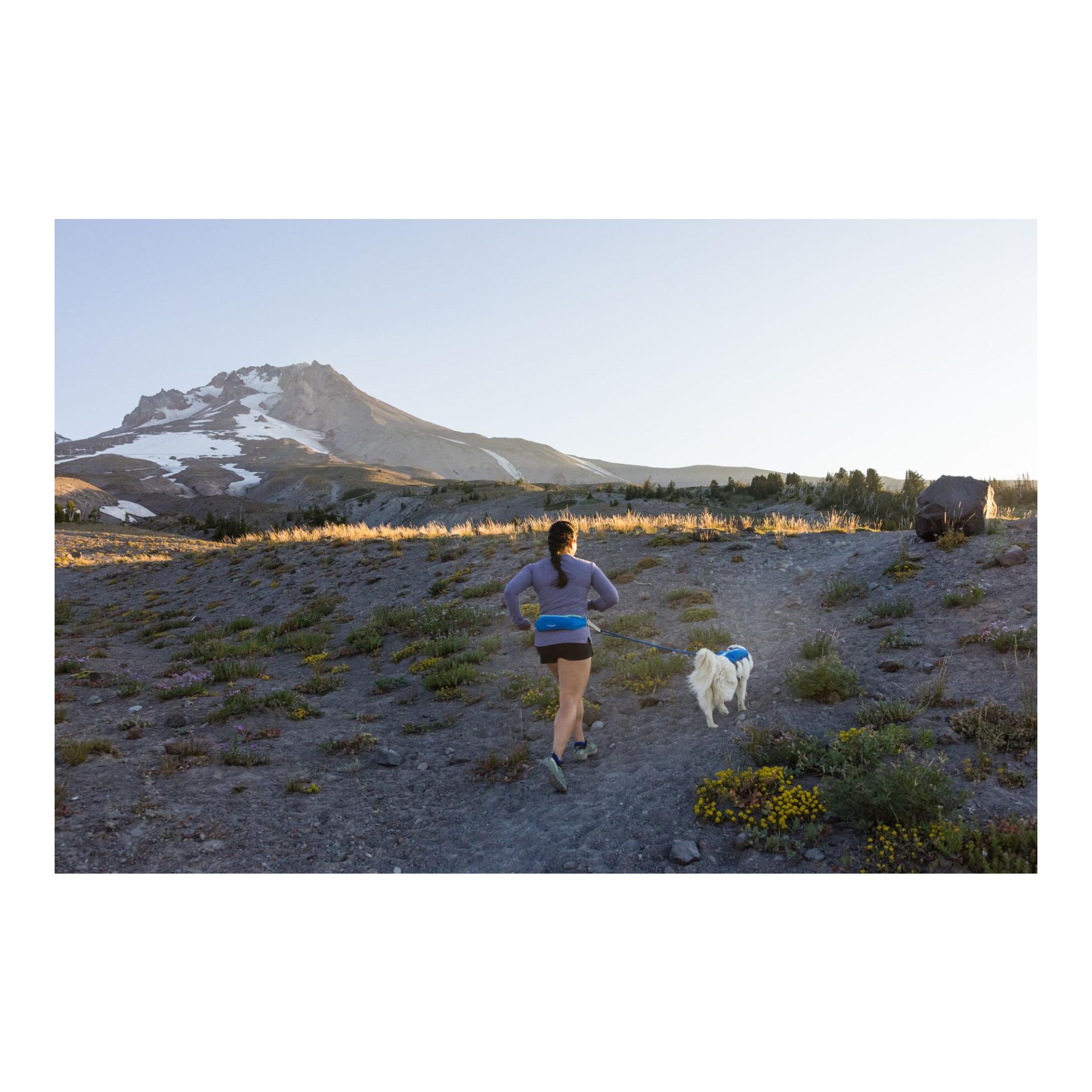 Trail Runner™ Belt Jogginggurt 