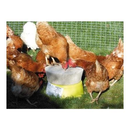 Pierre à picorer pour volaille, extra dure