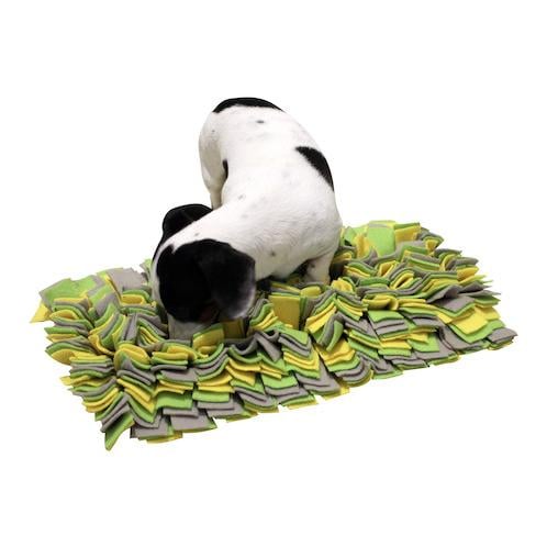 Schnüffelteppich Strategiespiel