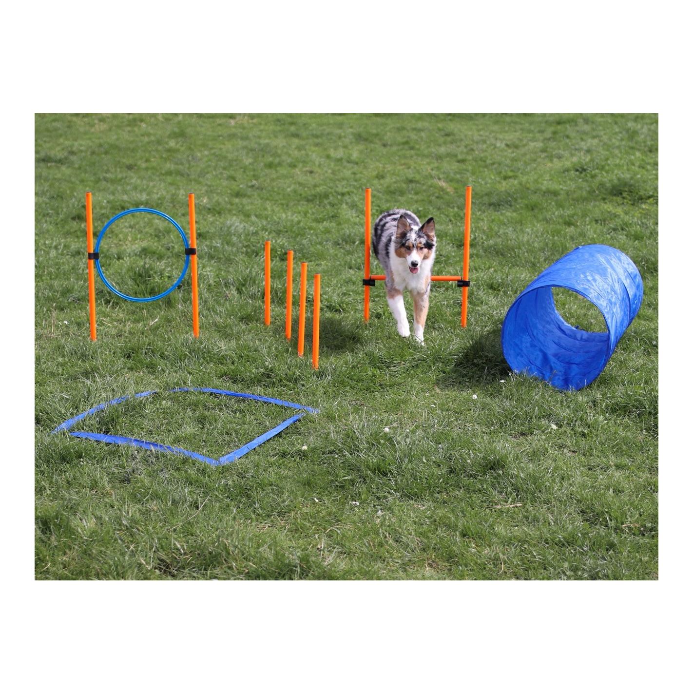 Josty Agility Starter Set - Training für Hunde
