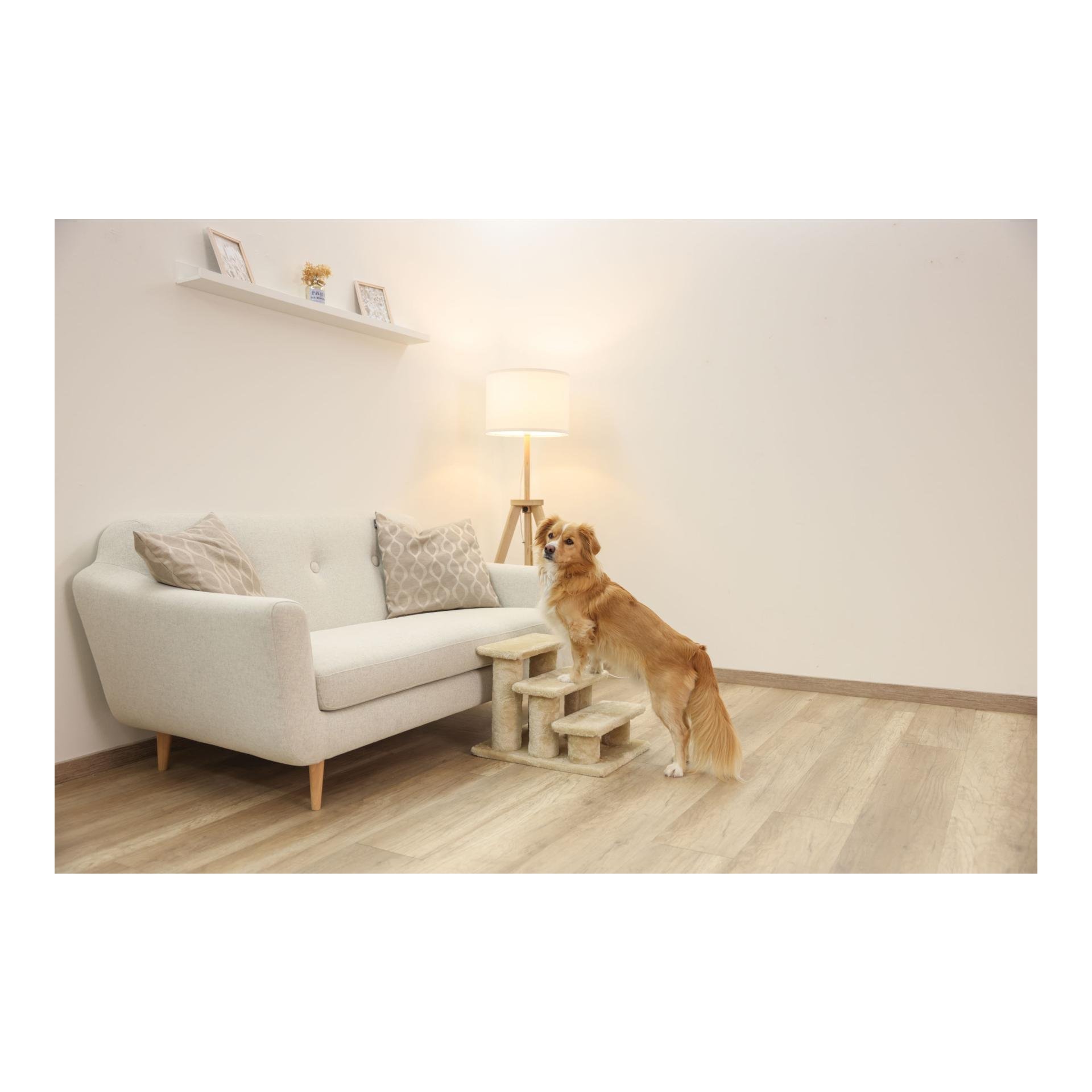 Tiertreppe Easy Climb 2.0