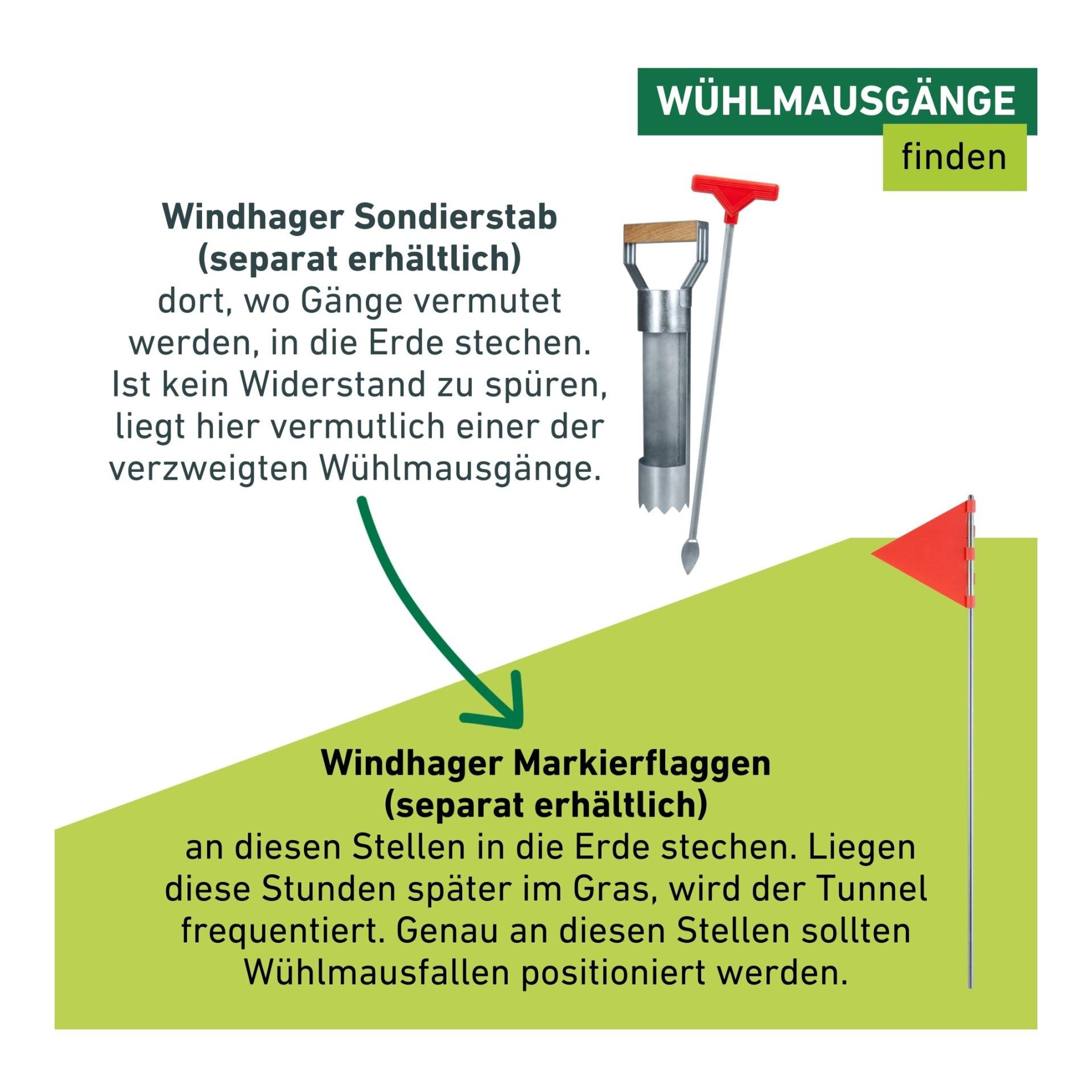 Windhager Wühlmausfalle Standard