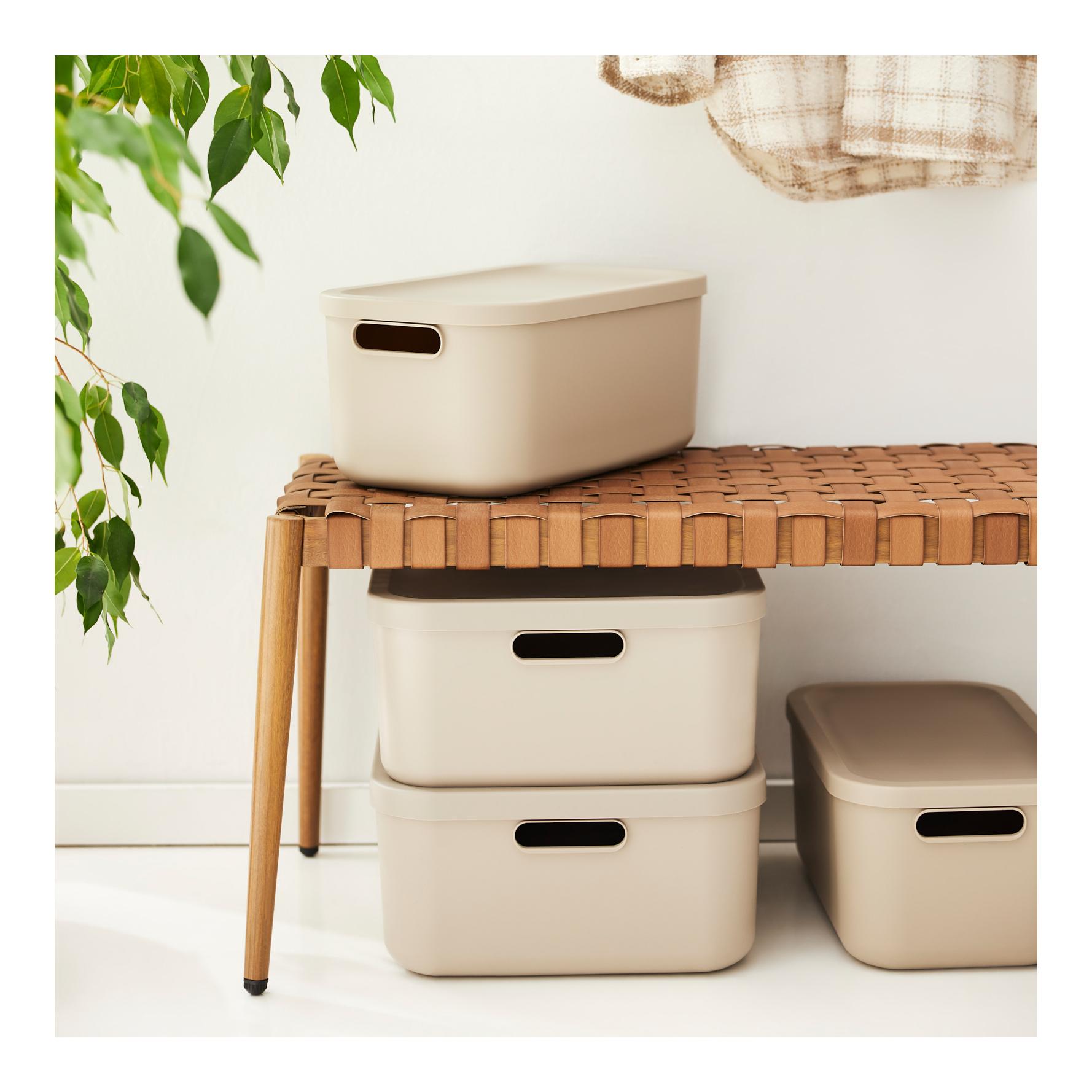 Rotho ALBULA LIGHT 12 Liter