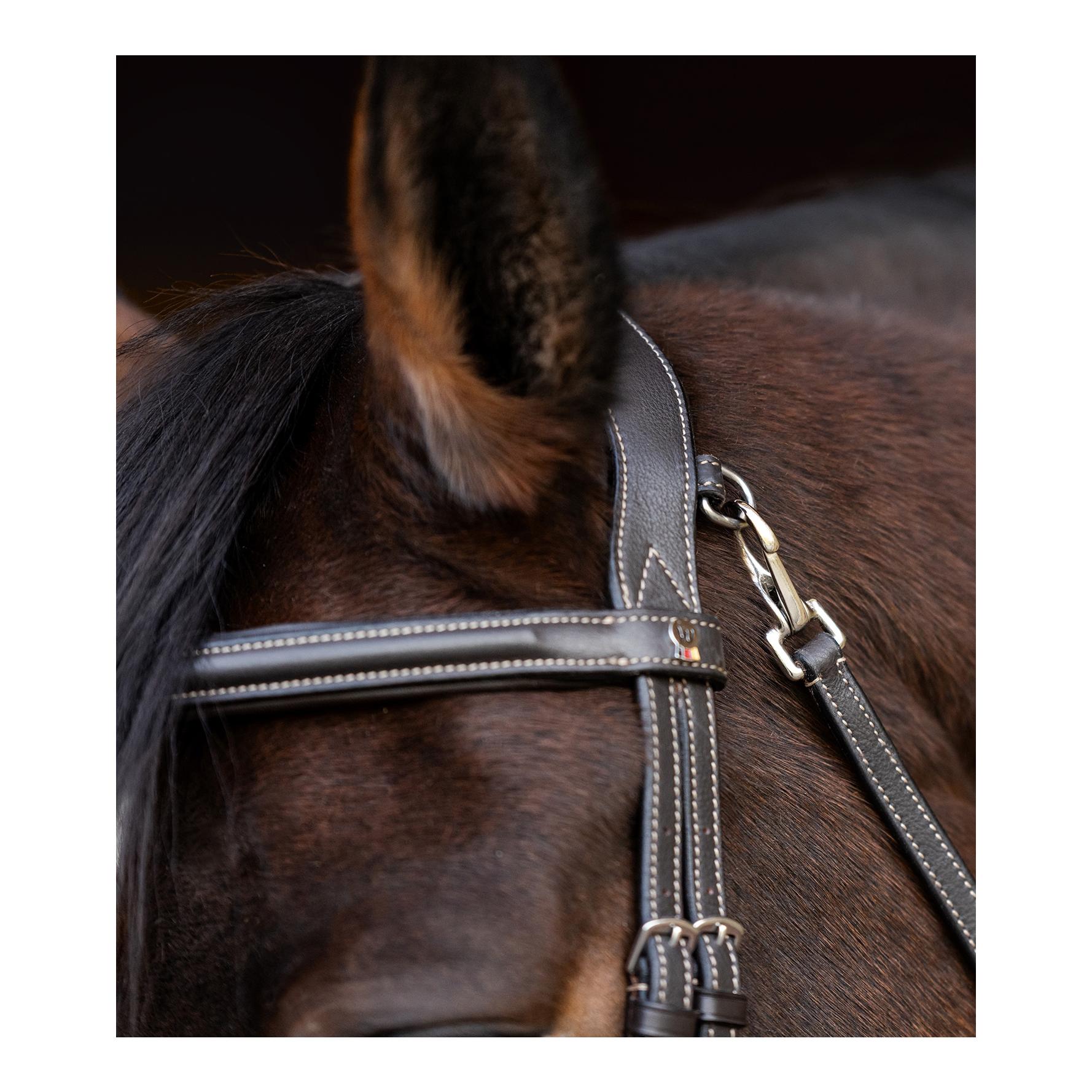 Waldhausen X-Line Trensenzaum Work