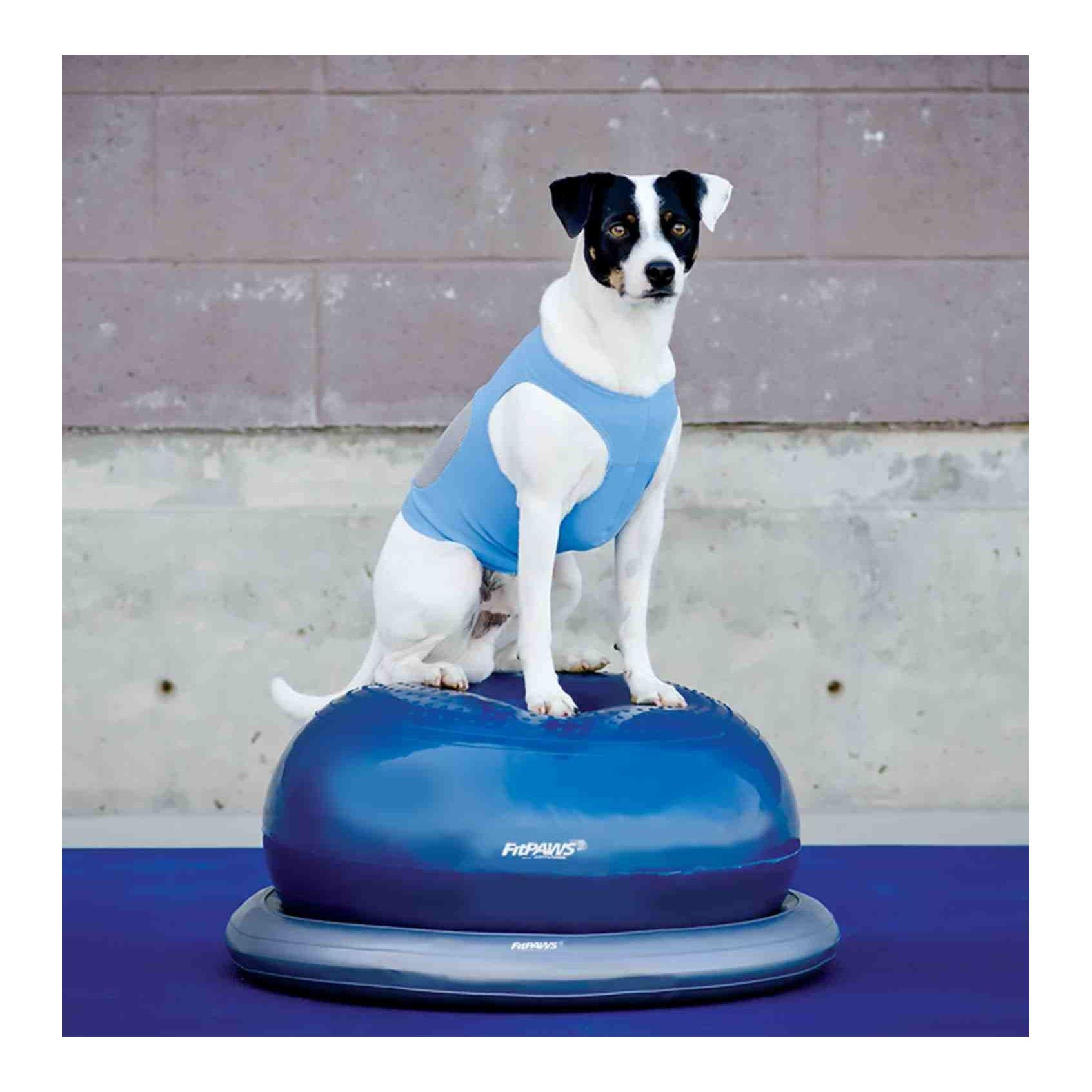 FitPAWS Donut Holder