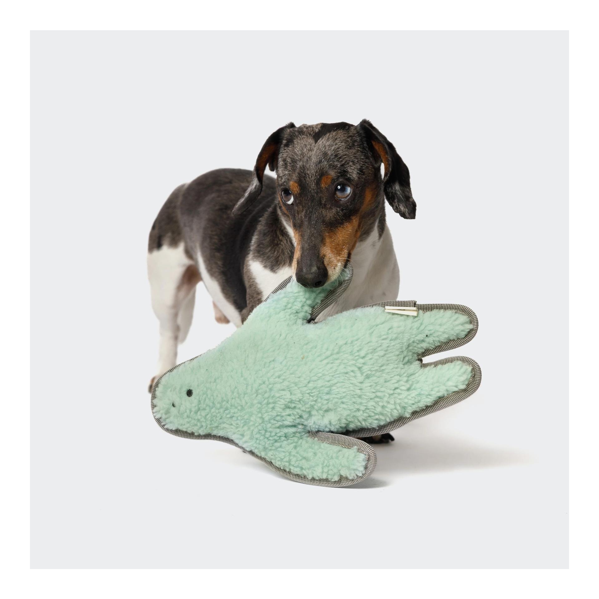 Jouet pour chien Monster Sam