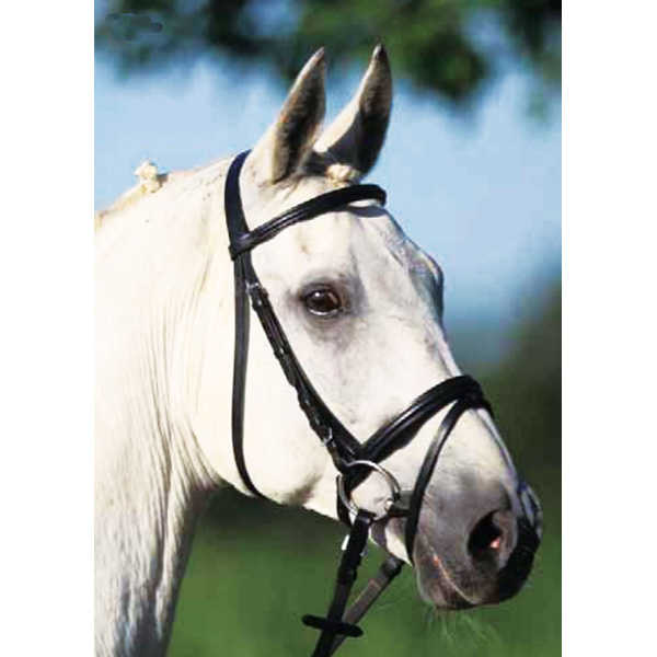 Image of Star Lifestyle Trensenzaum - schwarz bei Hauptner.ch