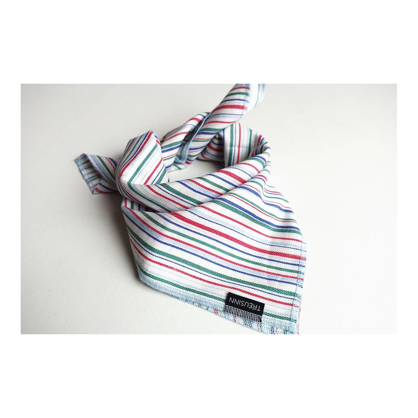 Image of Treusinn. Hundehalstuch bello. Münster - Münster (Blau-Rot-Grün) - bei Hauptner.ch