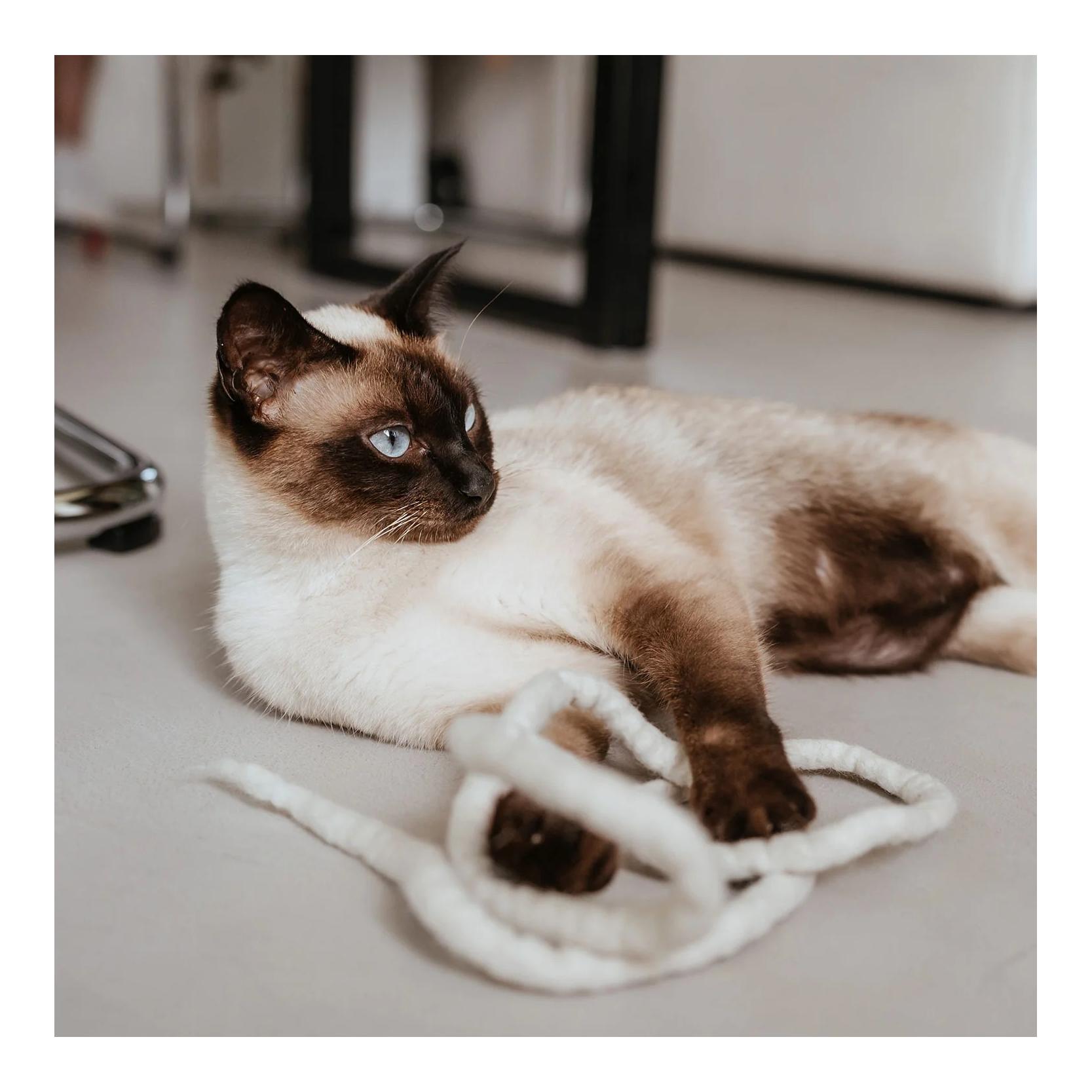 Katzenspielzeug Snaky