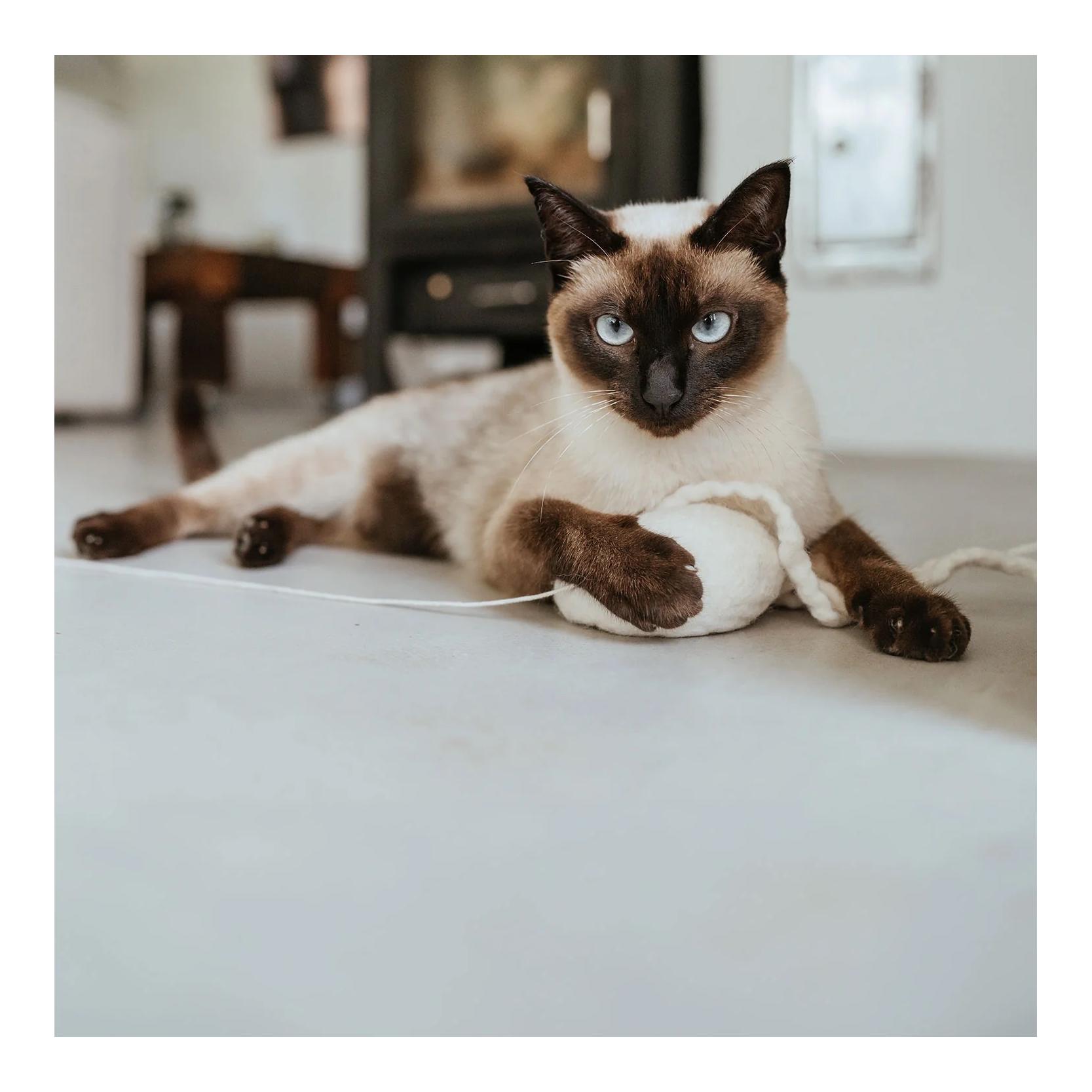 Katzenspielzeug Kwalle Karl 