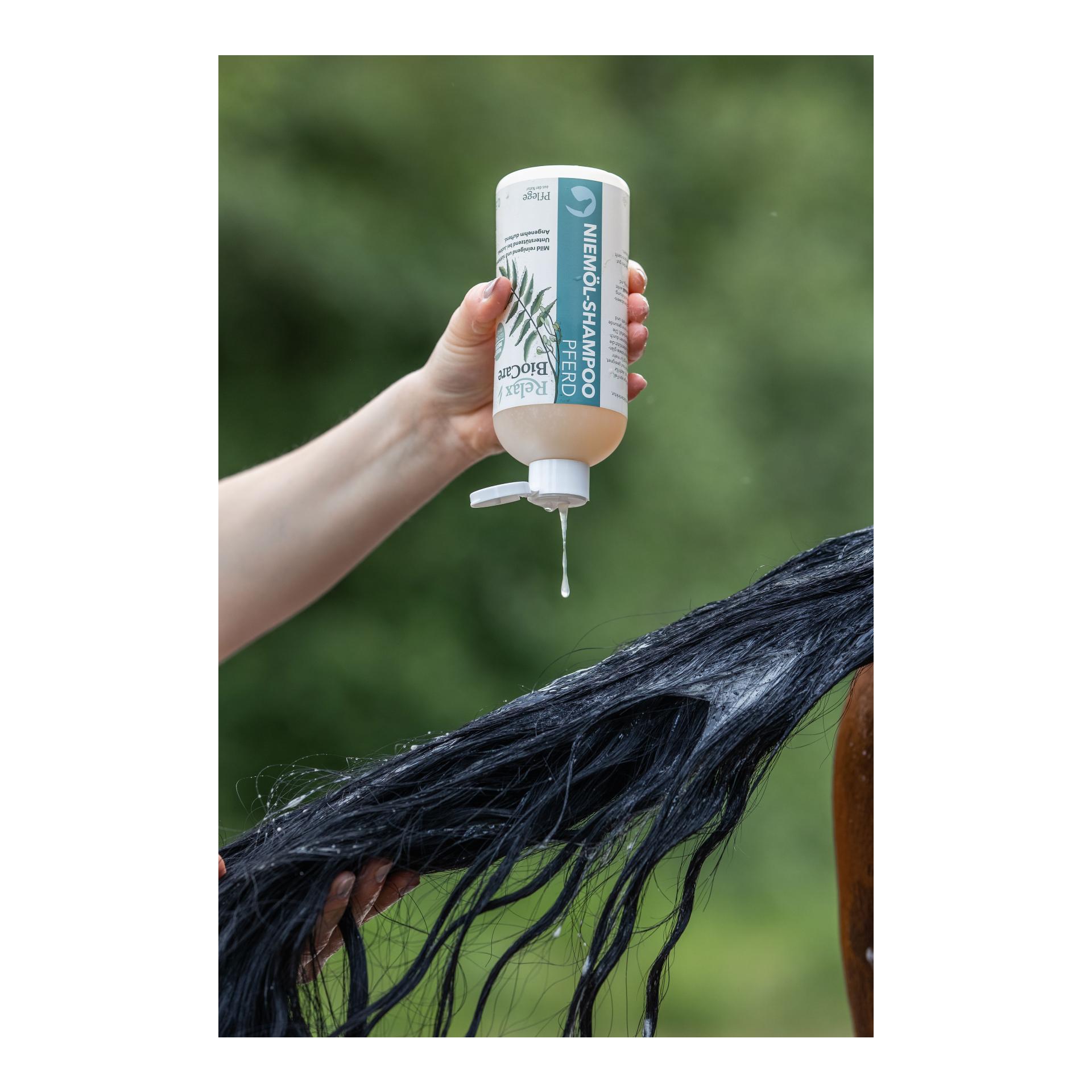 Niemöl Pferdeshampoo