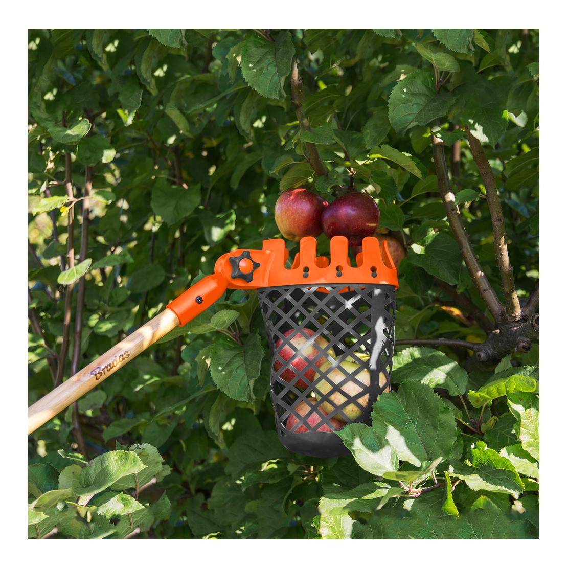 Bradas Cueille-fruits - Panier sans manche