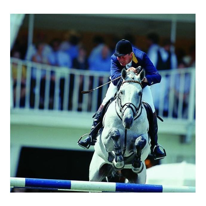 System 4 Steigbügel