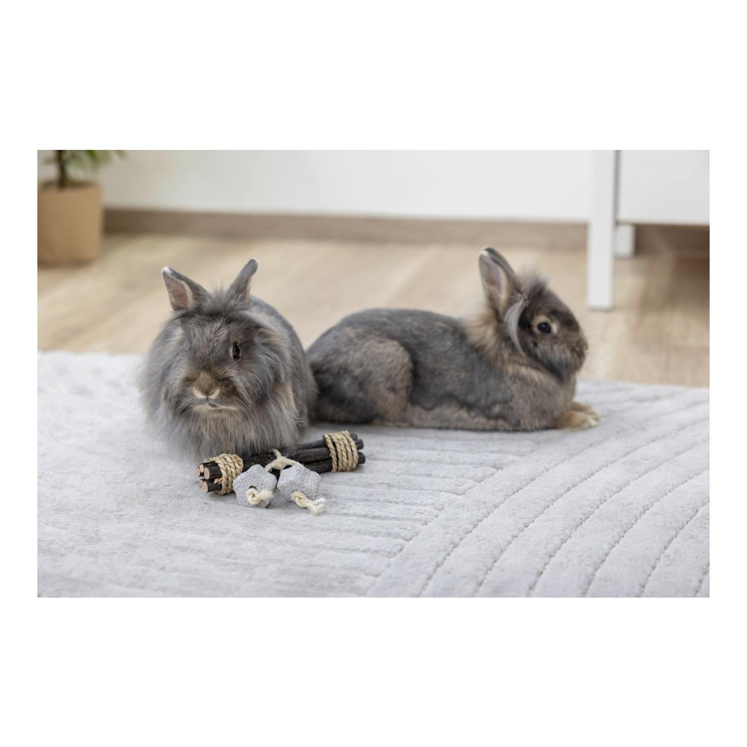 Spiel- und Knabberholz mit Lavastein