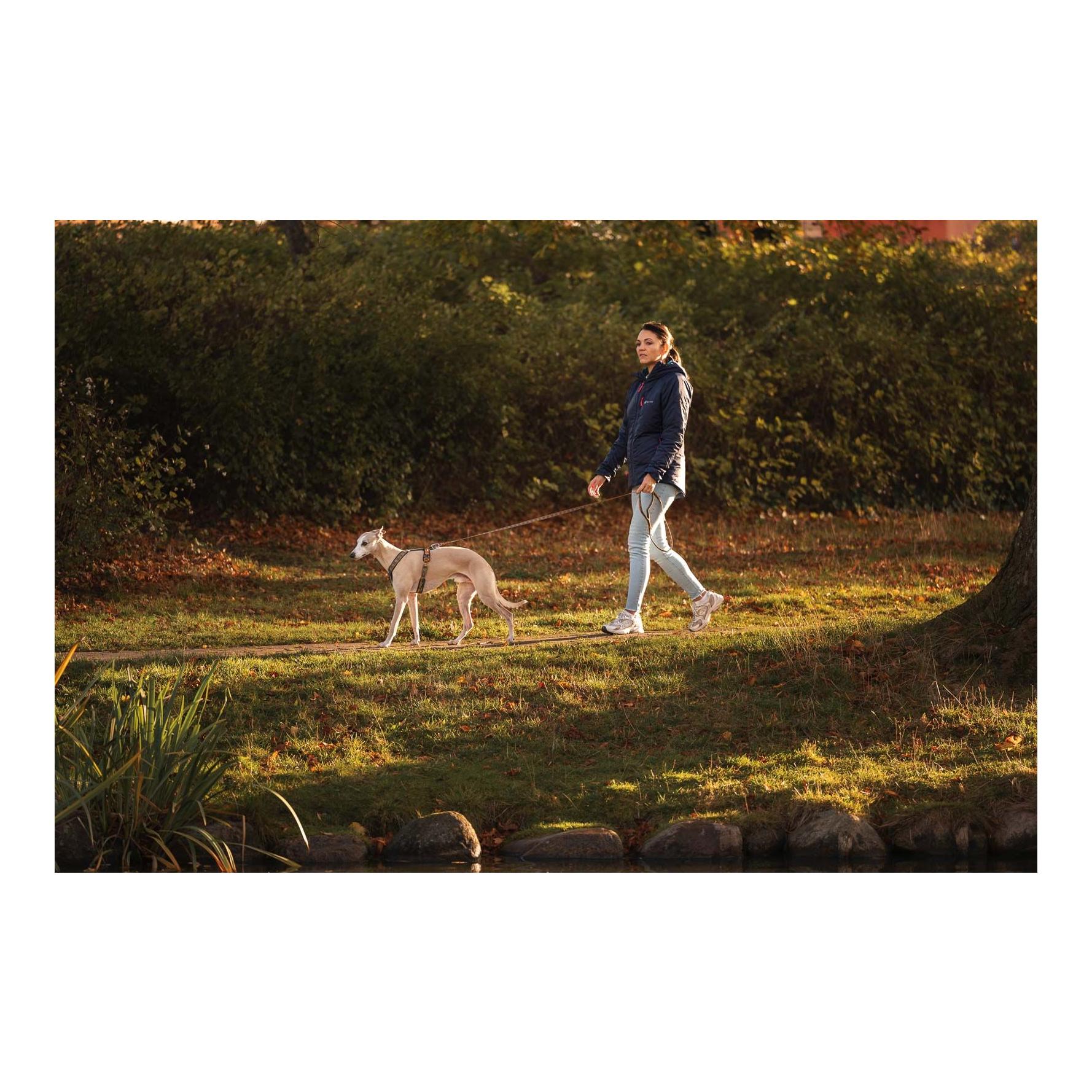 Laisse pour chien Trail Quest Leash Rachel Pohl Edition 