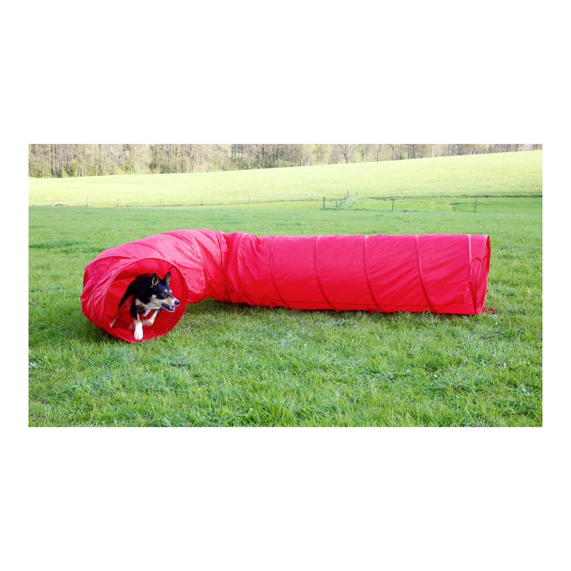 Agility Hundetunnel 5m - rot