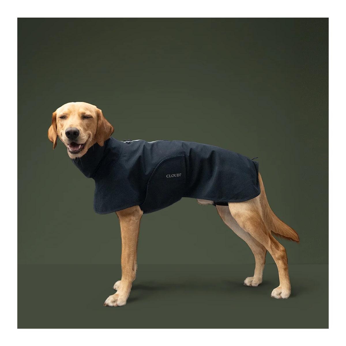 Hunderegenmantel Helgoland 