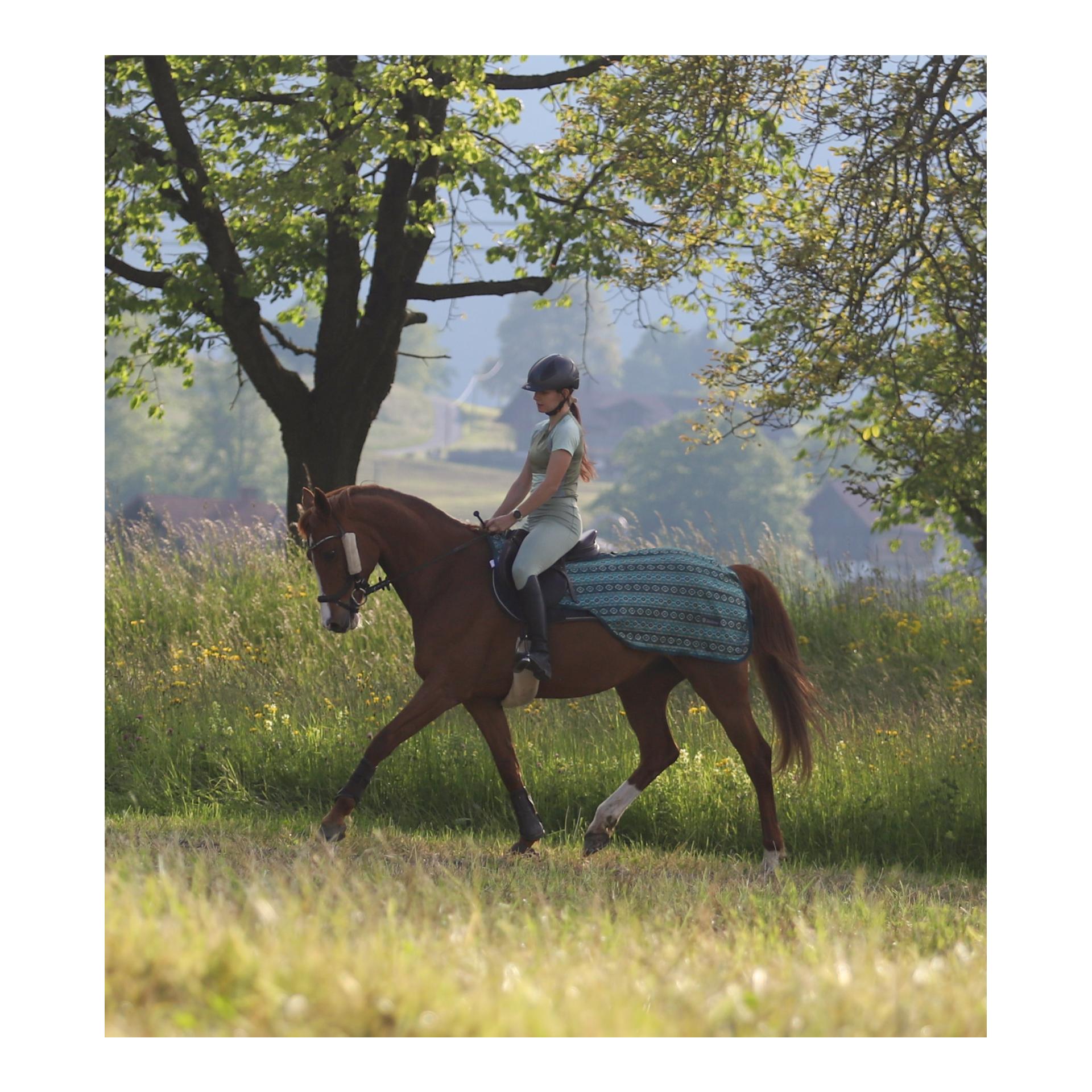 Reit-Fliegendecke Summer Stroll