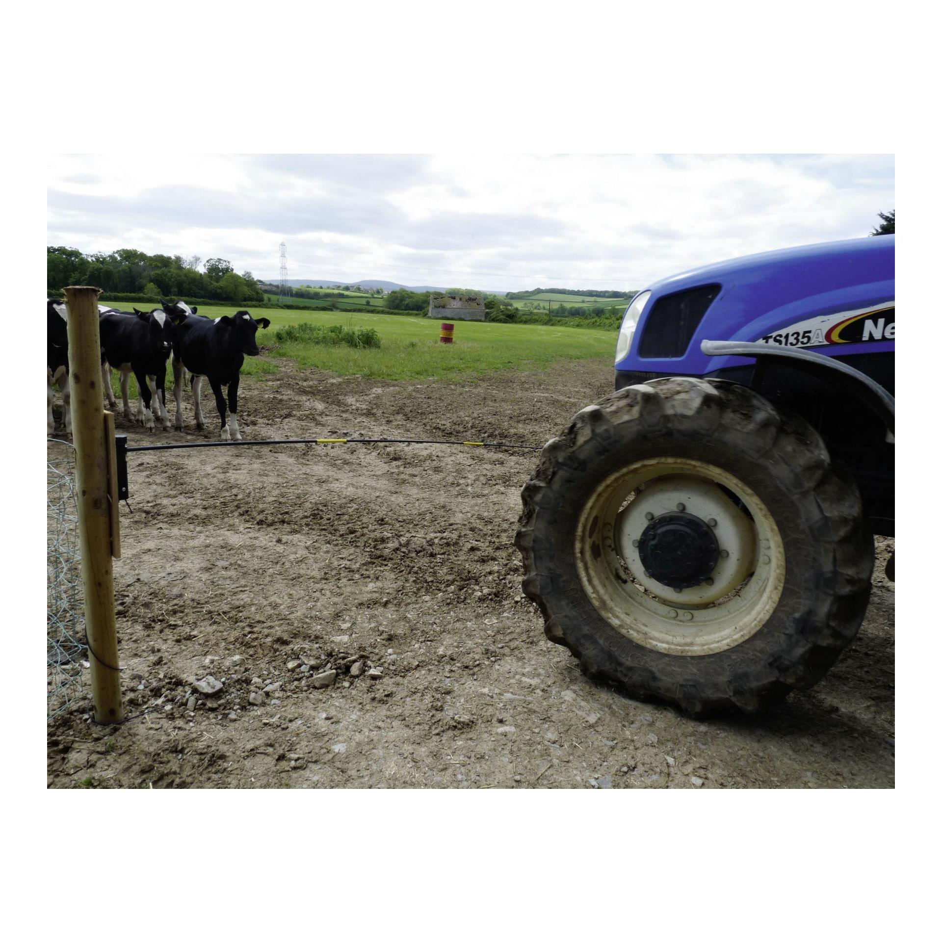 Weidezaun-Torwächter Set