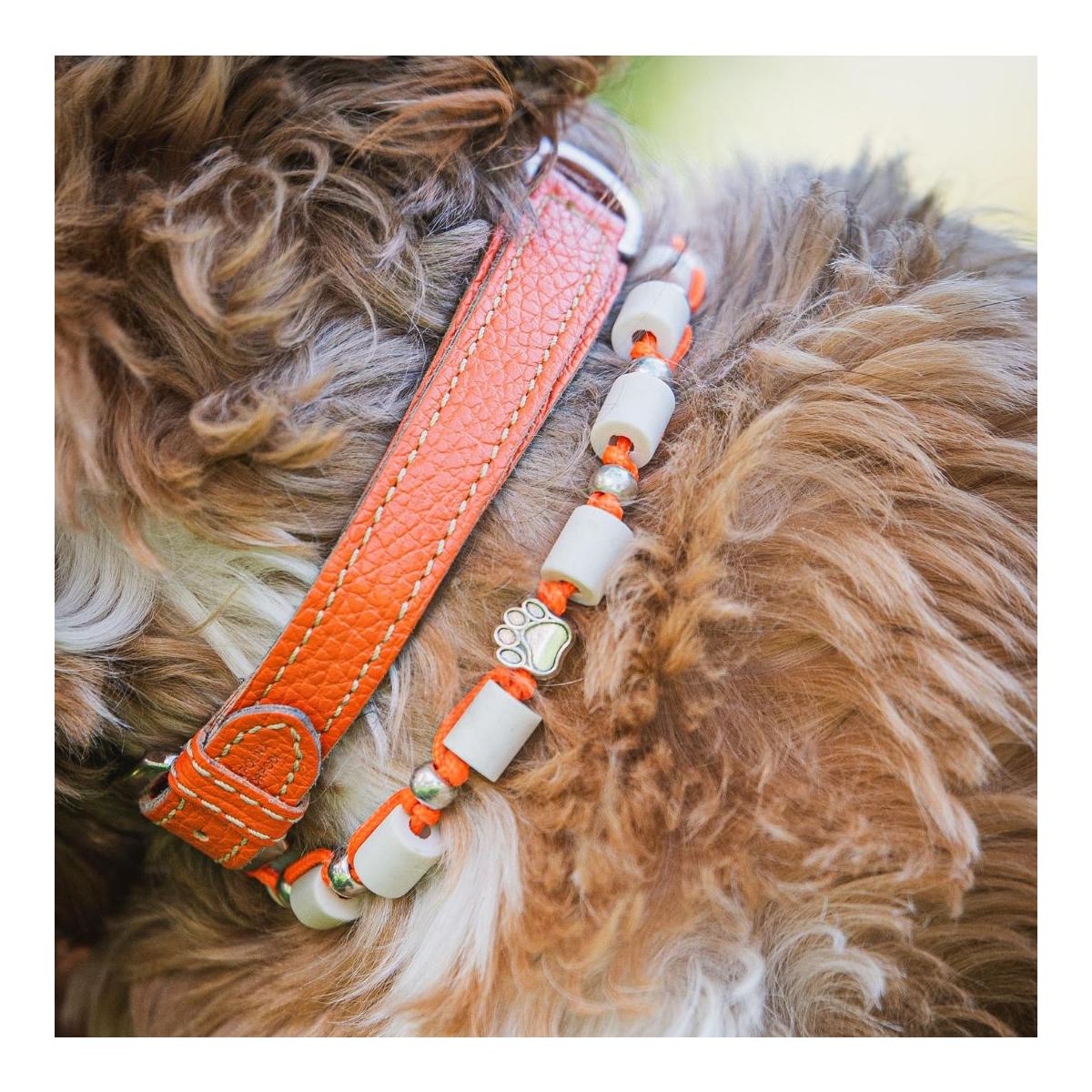 EM-Zeckenhalsband aus Tau mit EM Perlen