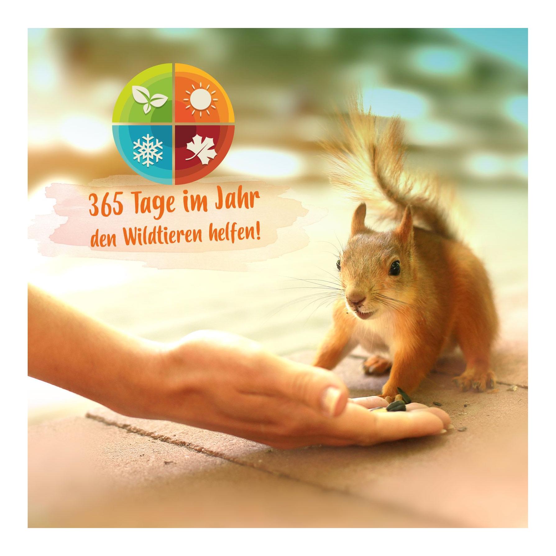 Nourriture pour écureuil Edel - Nourriture toute l’année, adaptée à l’espèce, dans un seau pratique